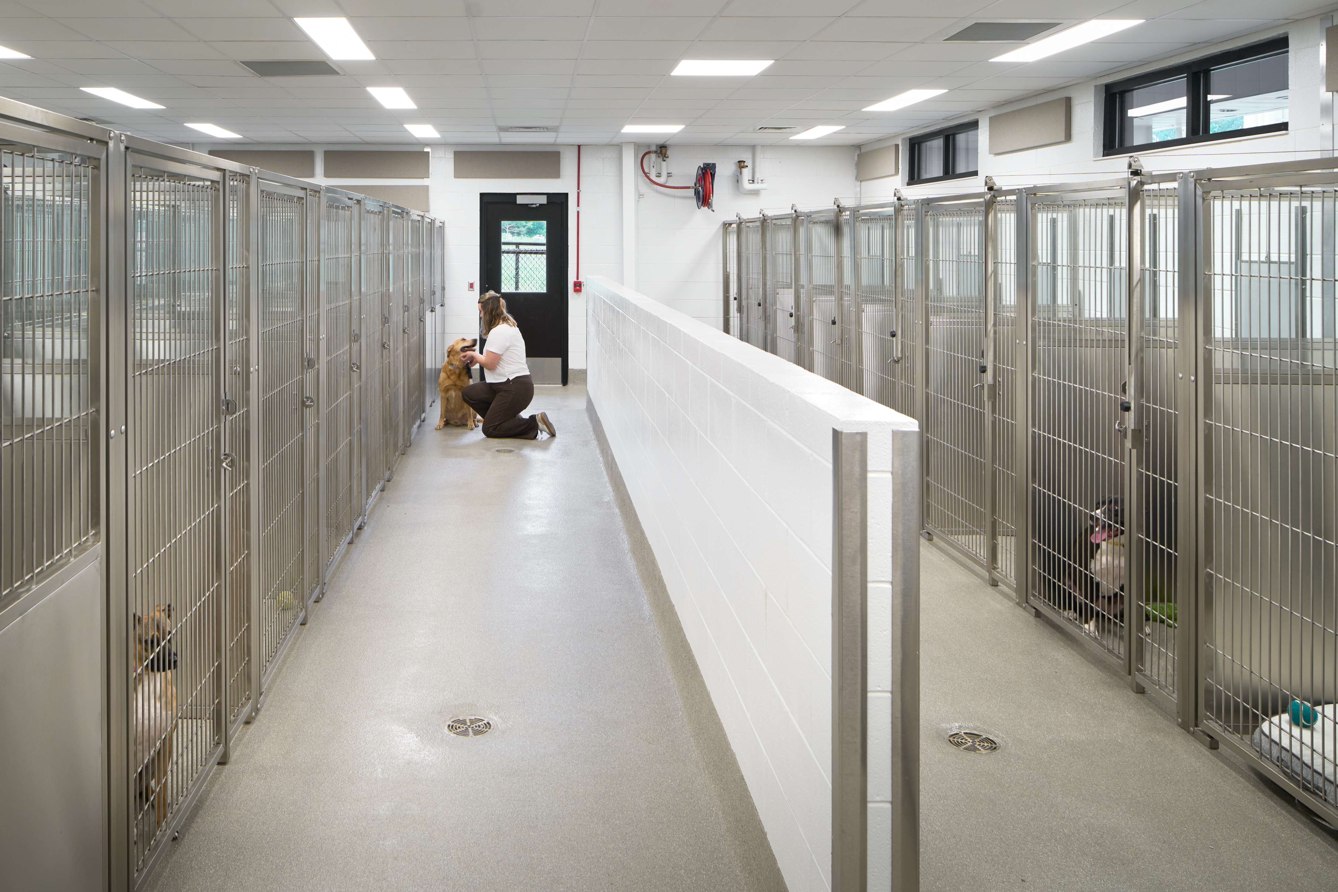 Jefferson County Animal Control, a Birchfield Penuel civic facility in Birmingham, AL. Architectural photography by Omar Mohammad Studio.