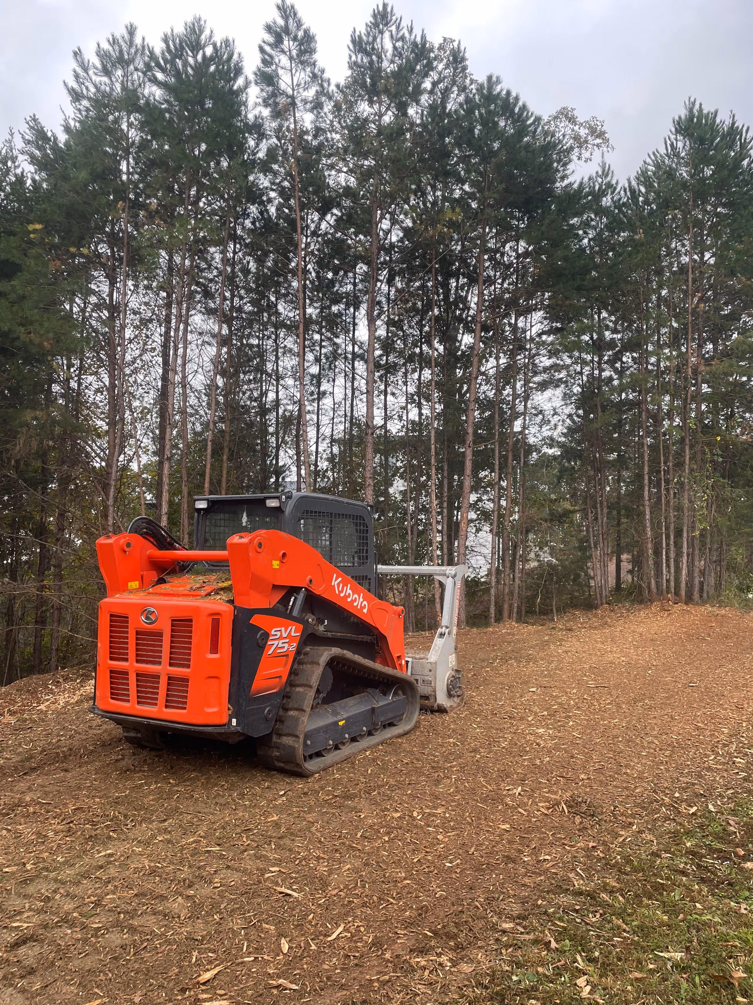 Forestry Mulching for land in north georgia