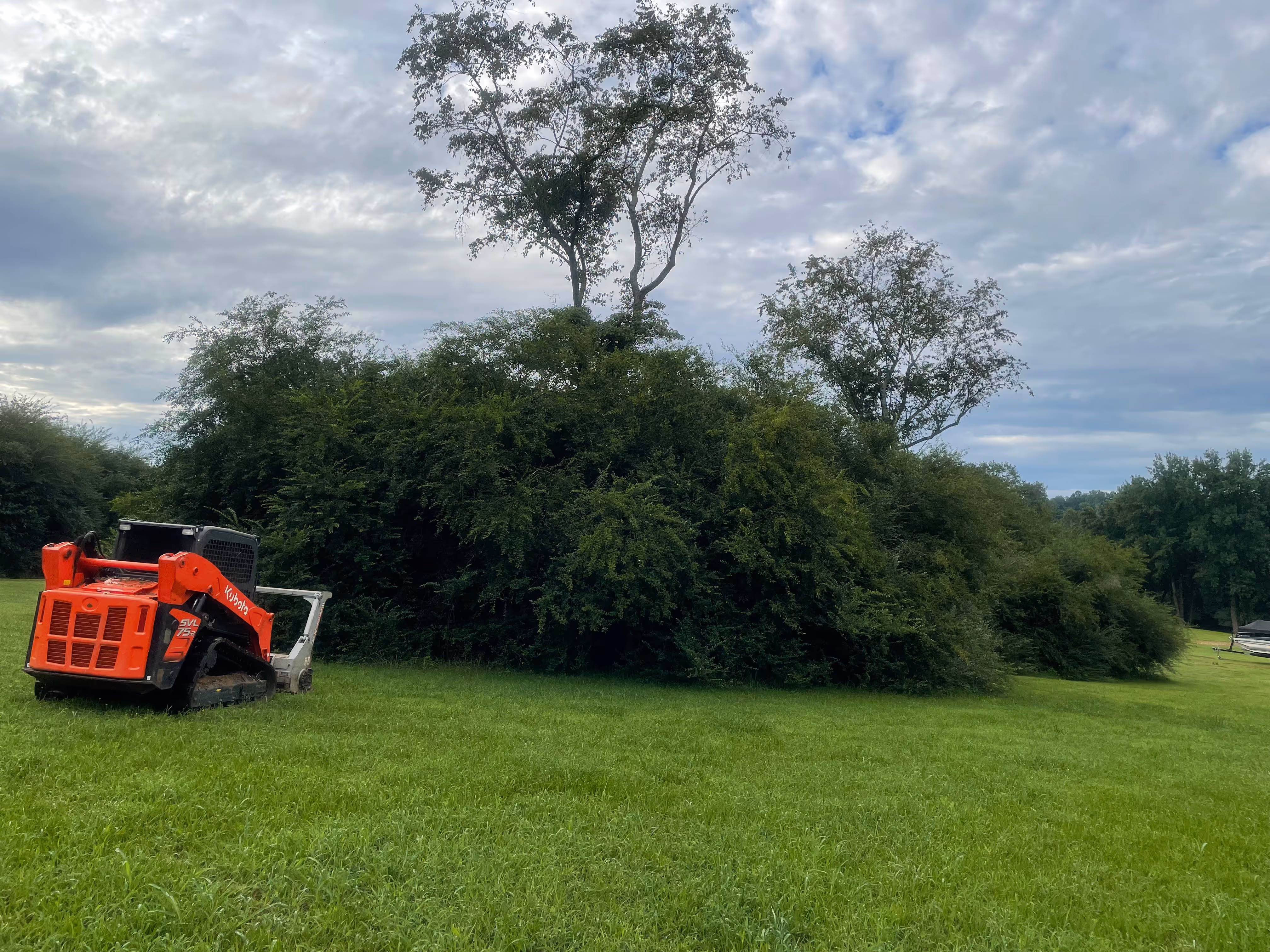 North Georgia and Hall County Bobcat forestry mulching