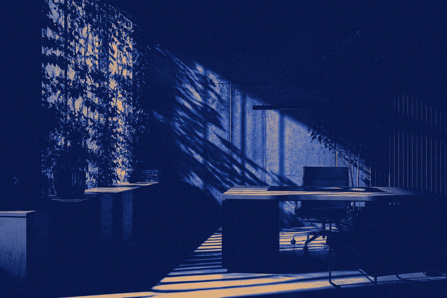 Sunlit branded workspace with plants