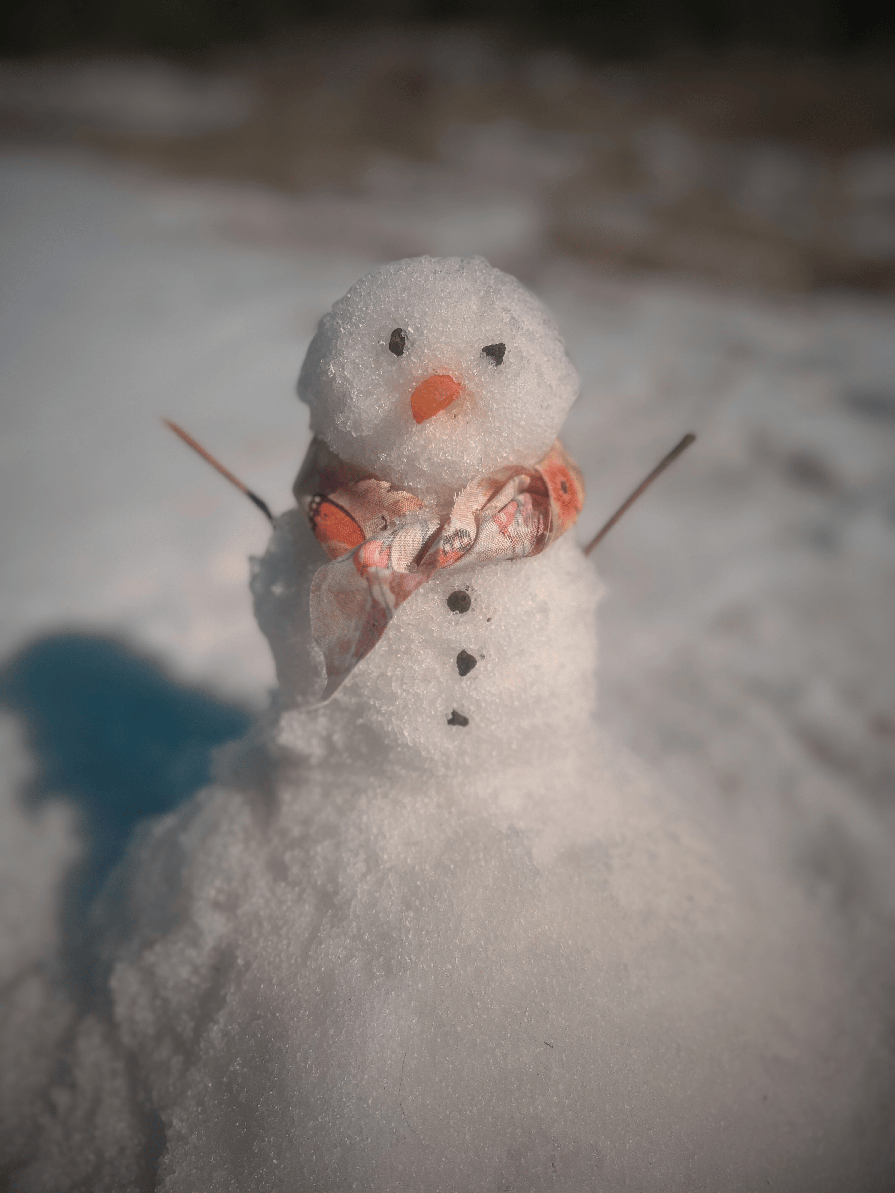 A true Texas snowman made by my grandson