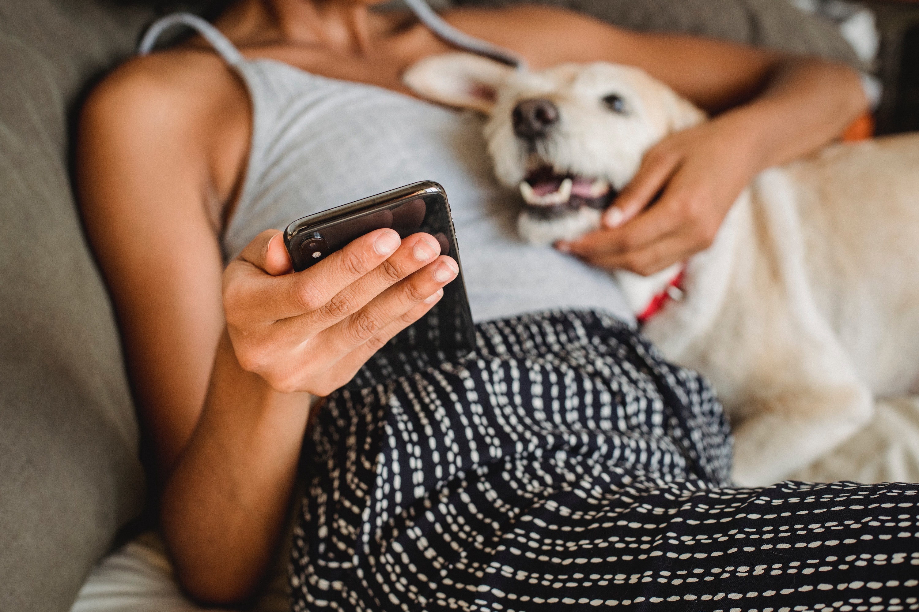 Woman holding dog while using her phone stock image