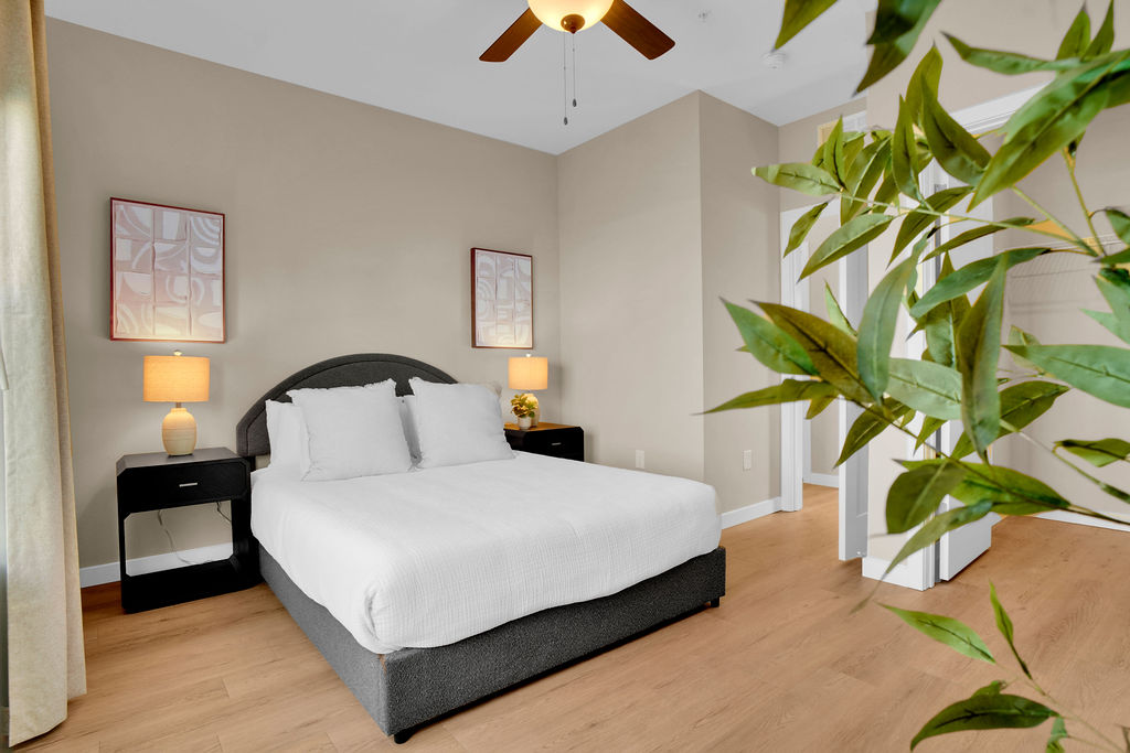 Bedroom with bed, side tables, lamps, plant, and ceiling fan