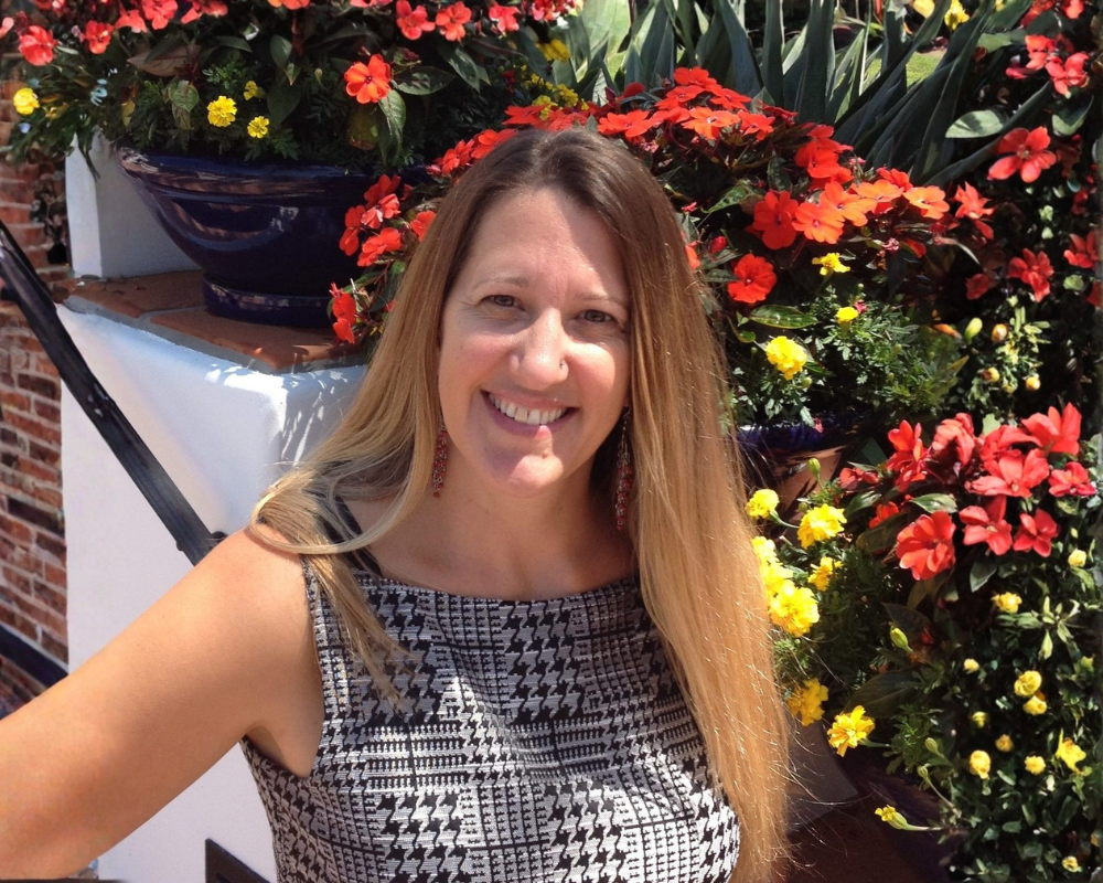 image of a concert crowd