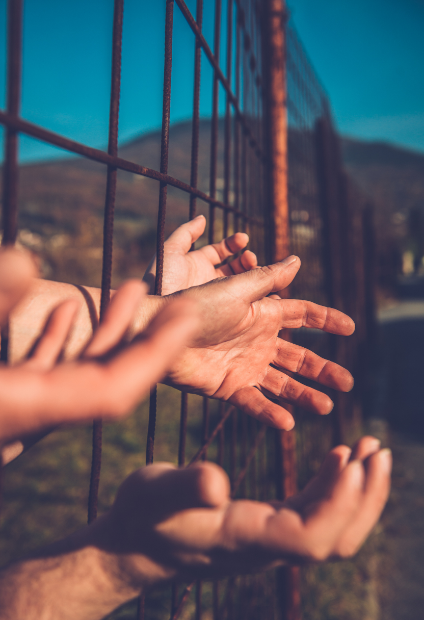 [background image] image of dining experience (for a seafood restaurant)