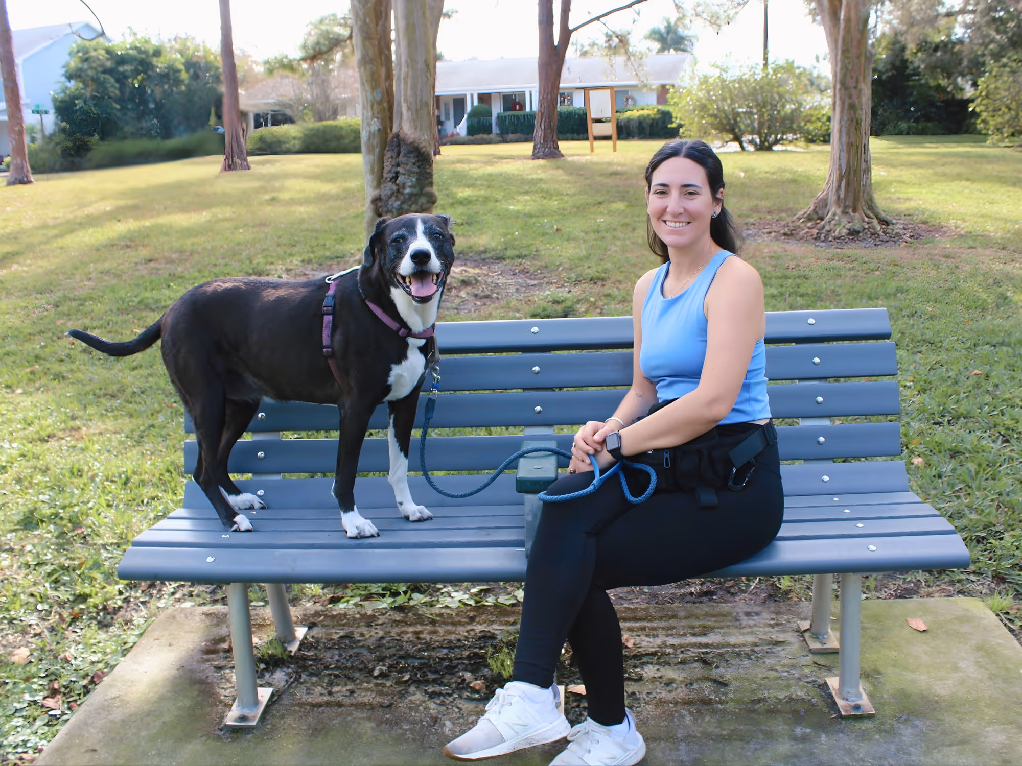 Calm, holistic dog training session in a St. Petersburg home focused on trust and connection
