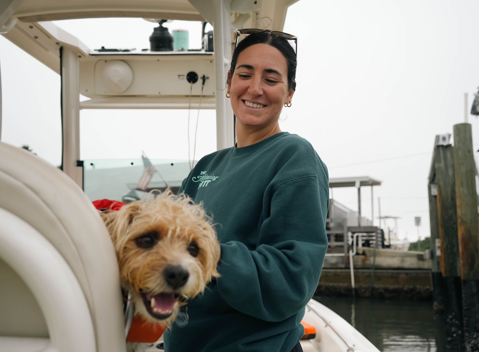 Relaxed dog learning to self-regulate during relationship-based training in Tampa FL