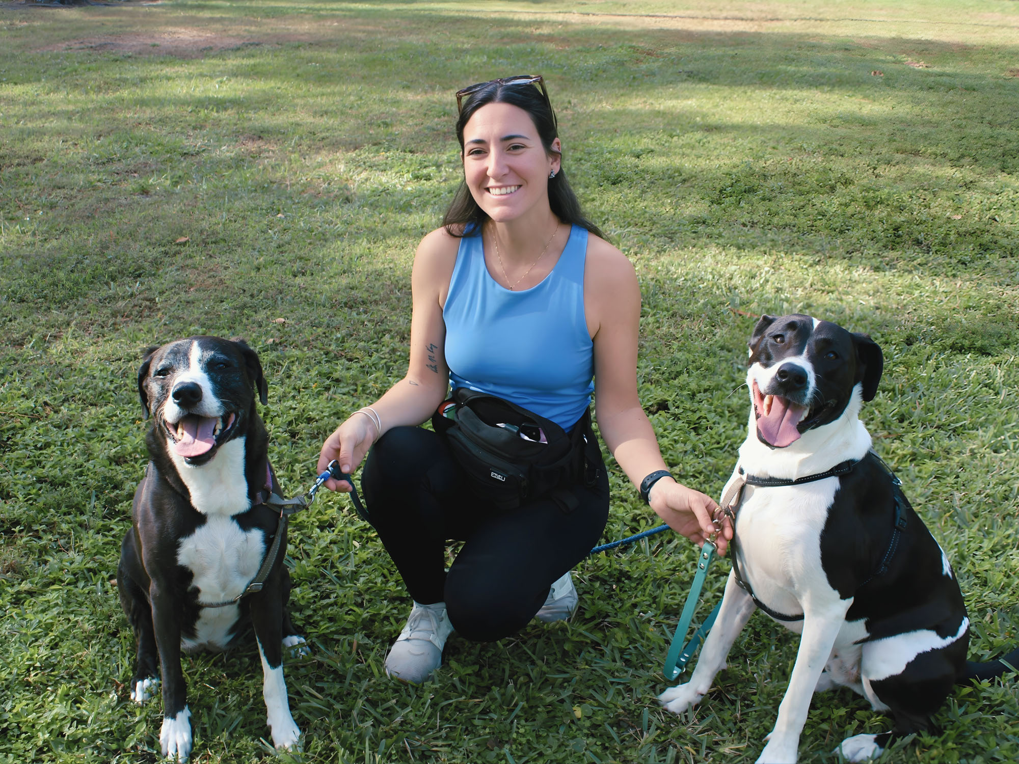 image of animal training sessions