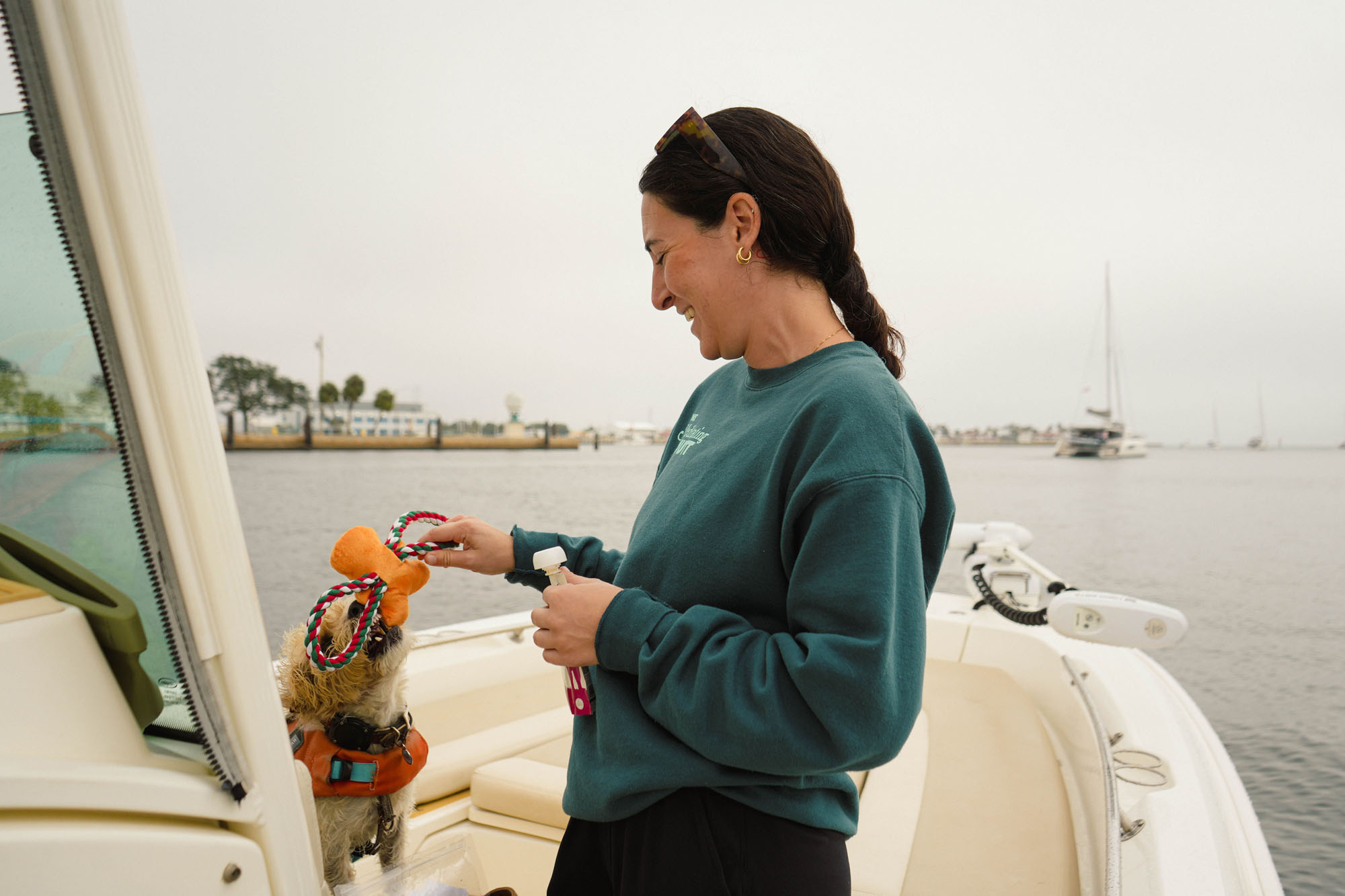 image of animal training sessions