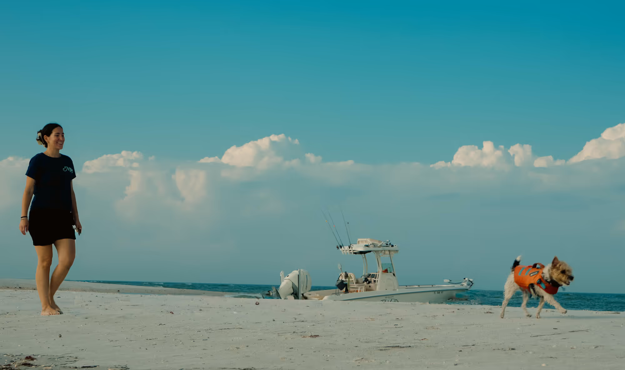 image of animal training sessions