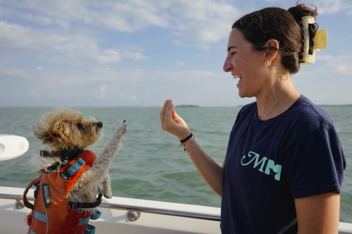Holistic dog training session in Gulfport FL focused on emotional safety and connection