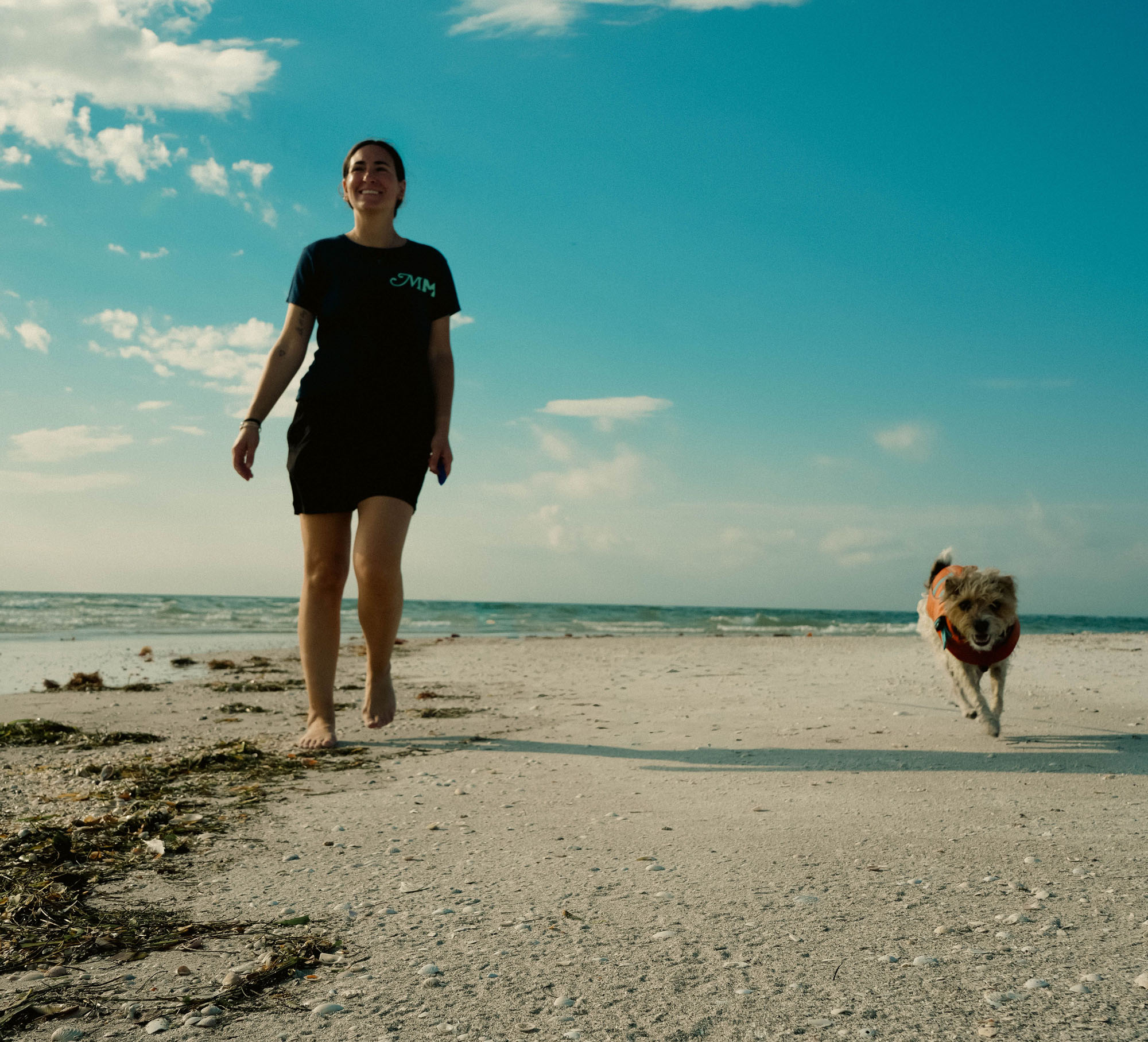 Calm dog learning to relax during in-home training in St. Pete Beach Florida