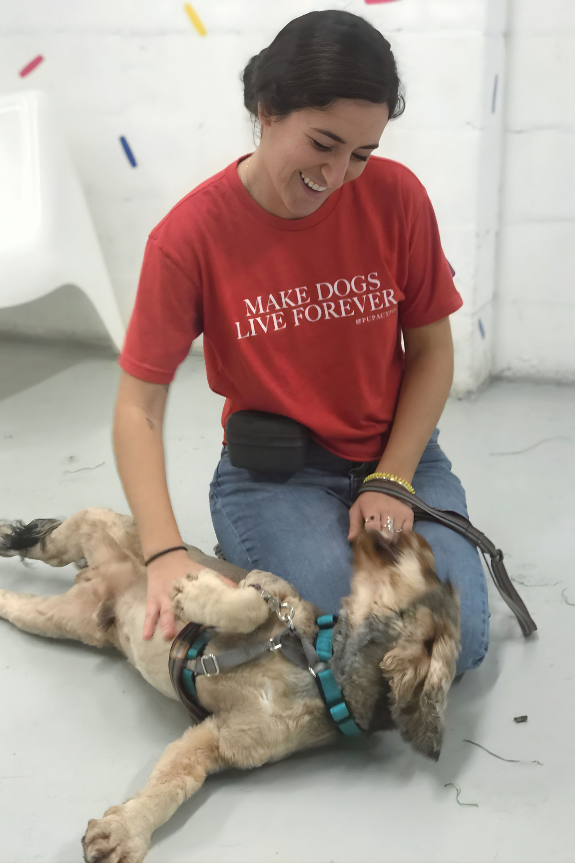 Holistic dog training session in Pinellas Park FL focused on calm and connection