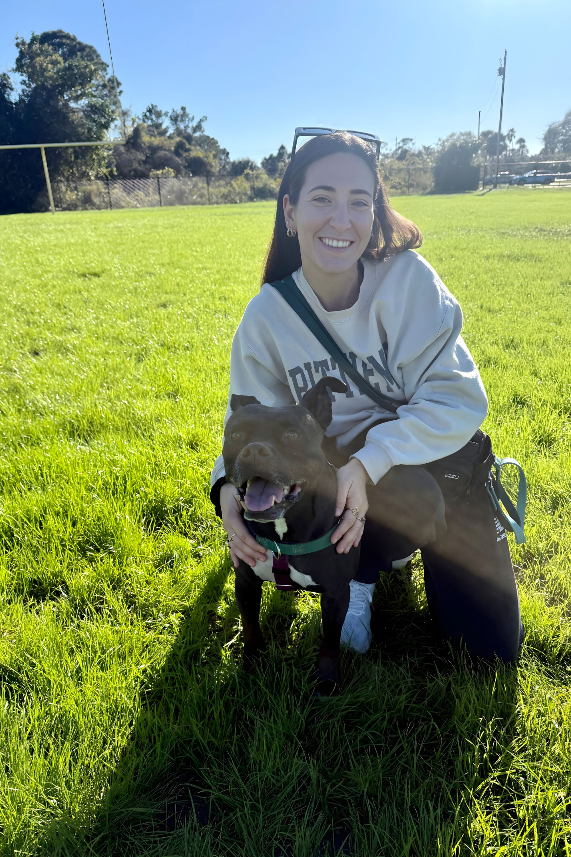 Relaxed dog learning to settle during in-home training in Pinellas Park Florida