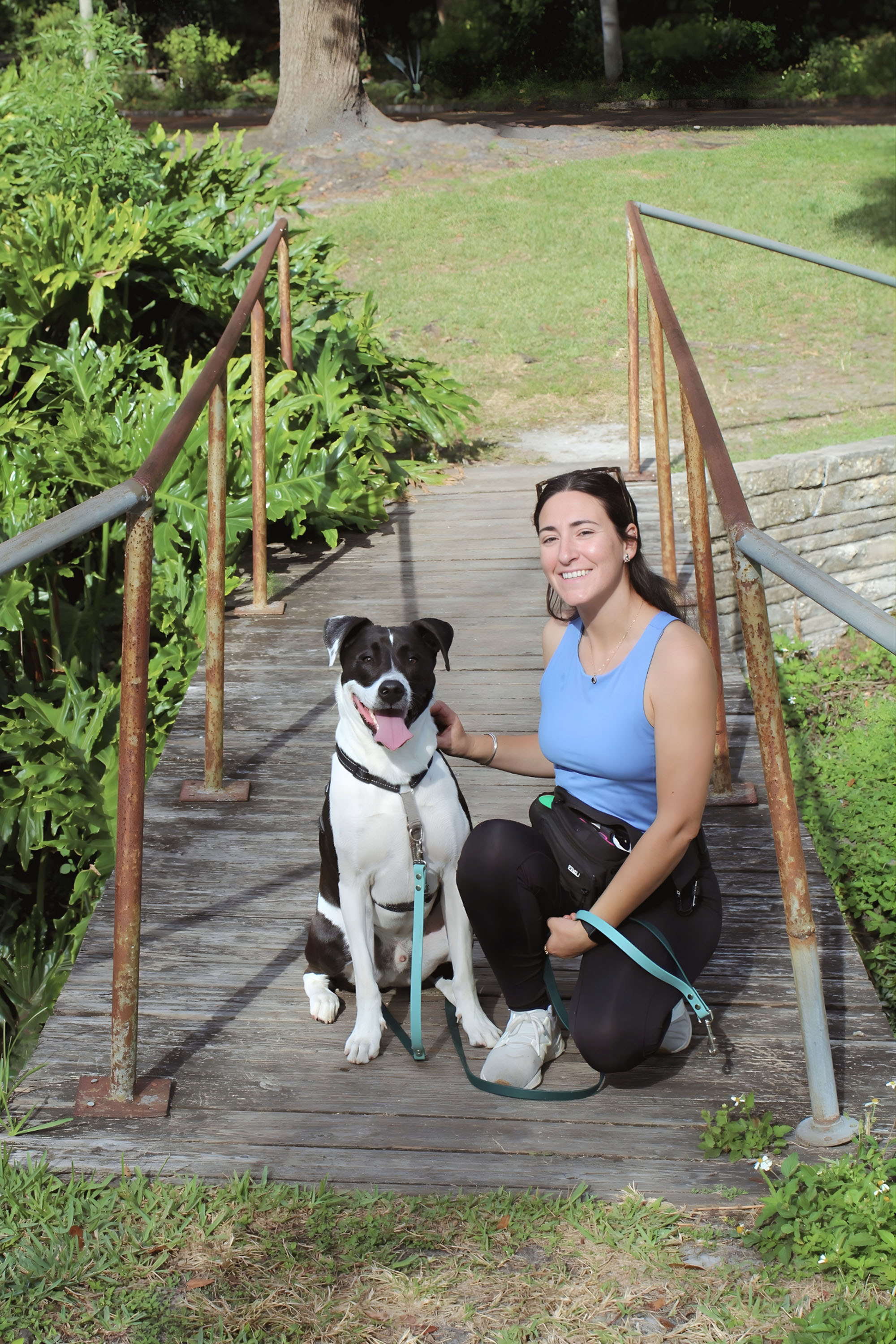 Relaxed dog during in-home training session in Largo Florida