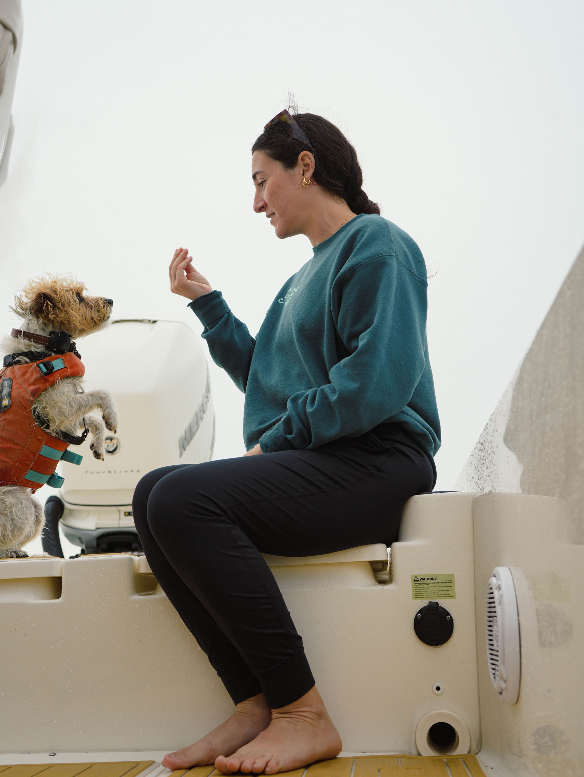 Holistic dog training session in Seminole FL focused on calm and emotional regulation