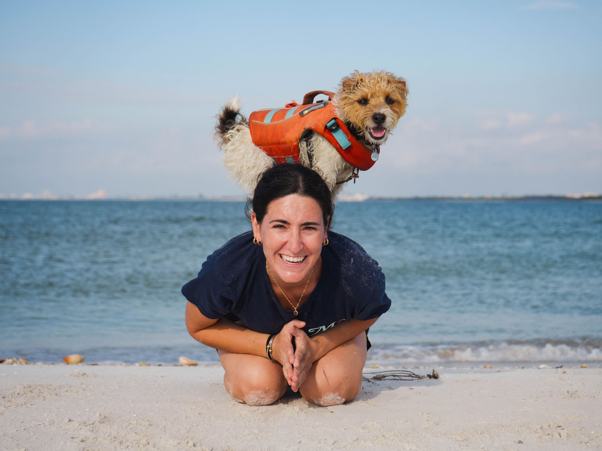 Relaxed dog during in-home behavior training in South Tampa FL