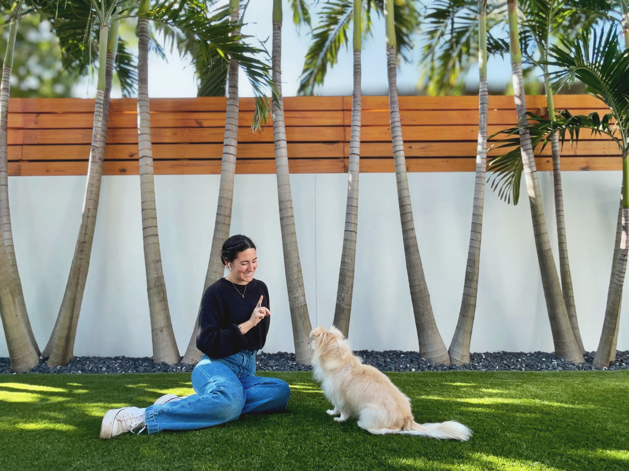 Holistic dog trainer guiding a Tampa dog owner with calm, supportive coaching