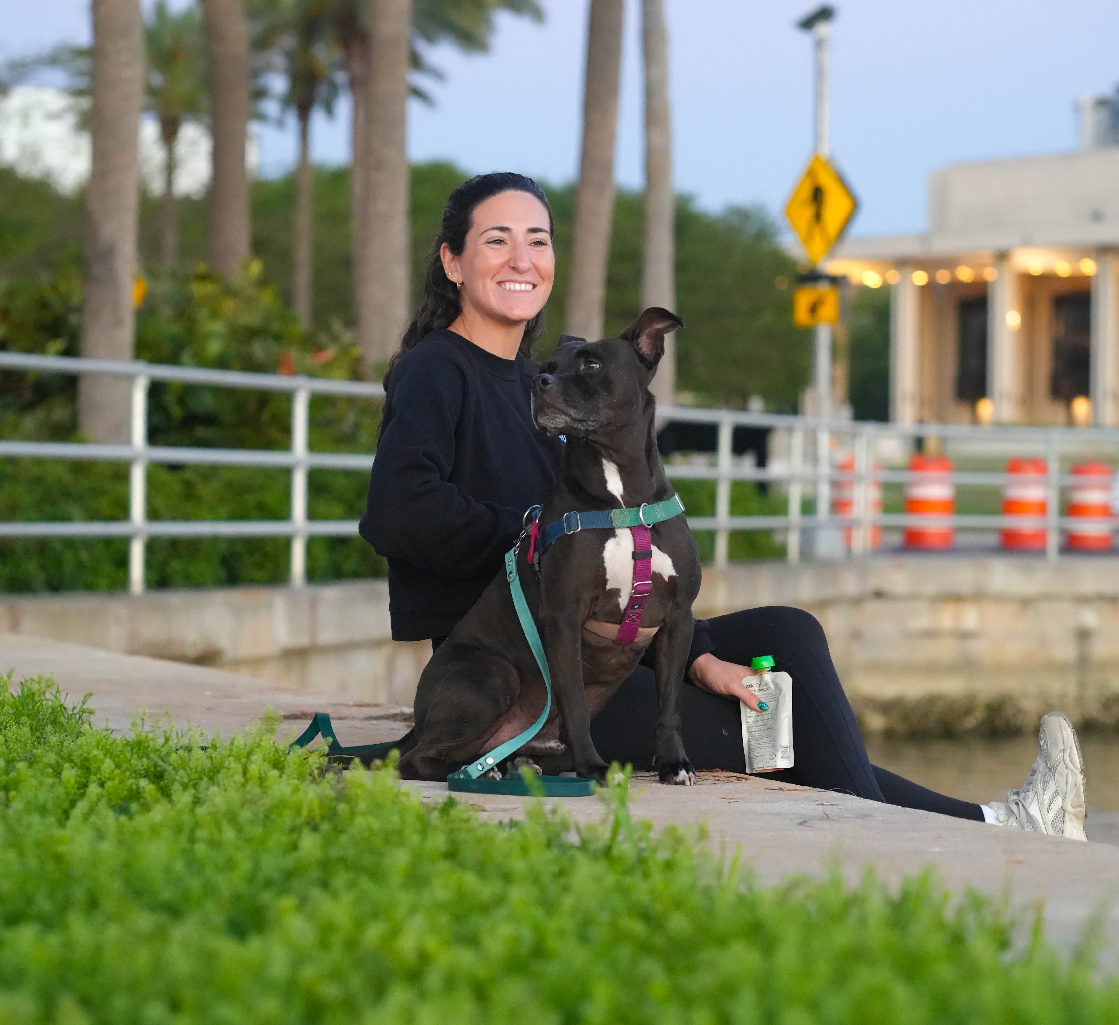 Relaxed dog learning to settle during in-home training in Pinellas Park Florida