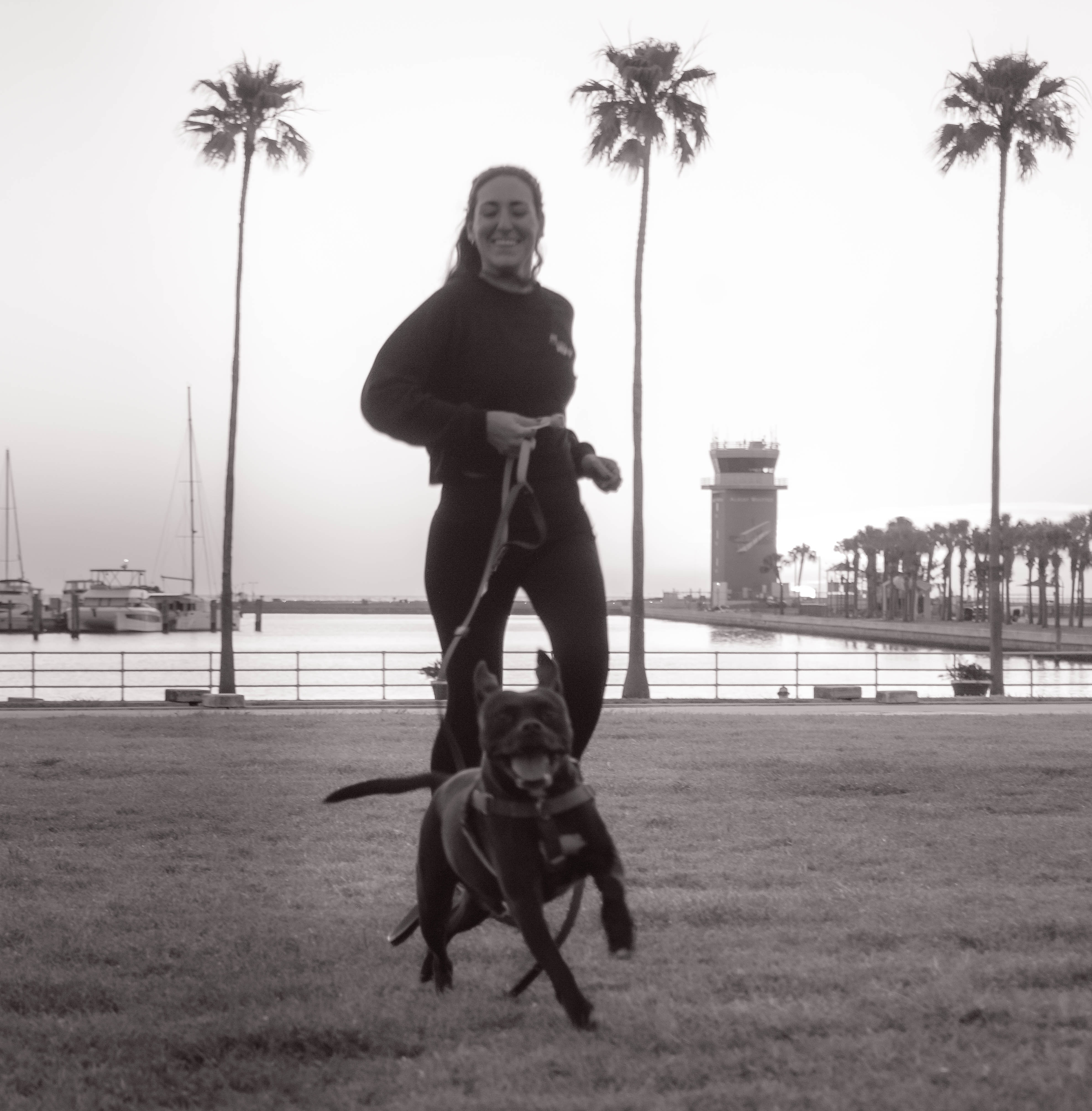 Dog trainer working with a Seminole family using gentle, trust-based methods