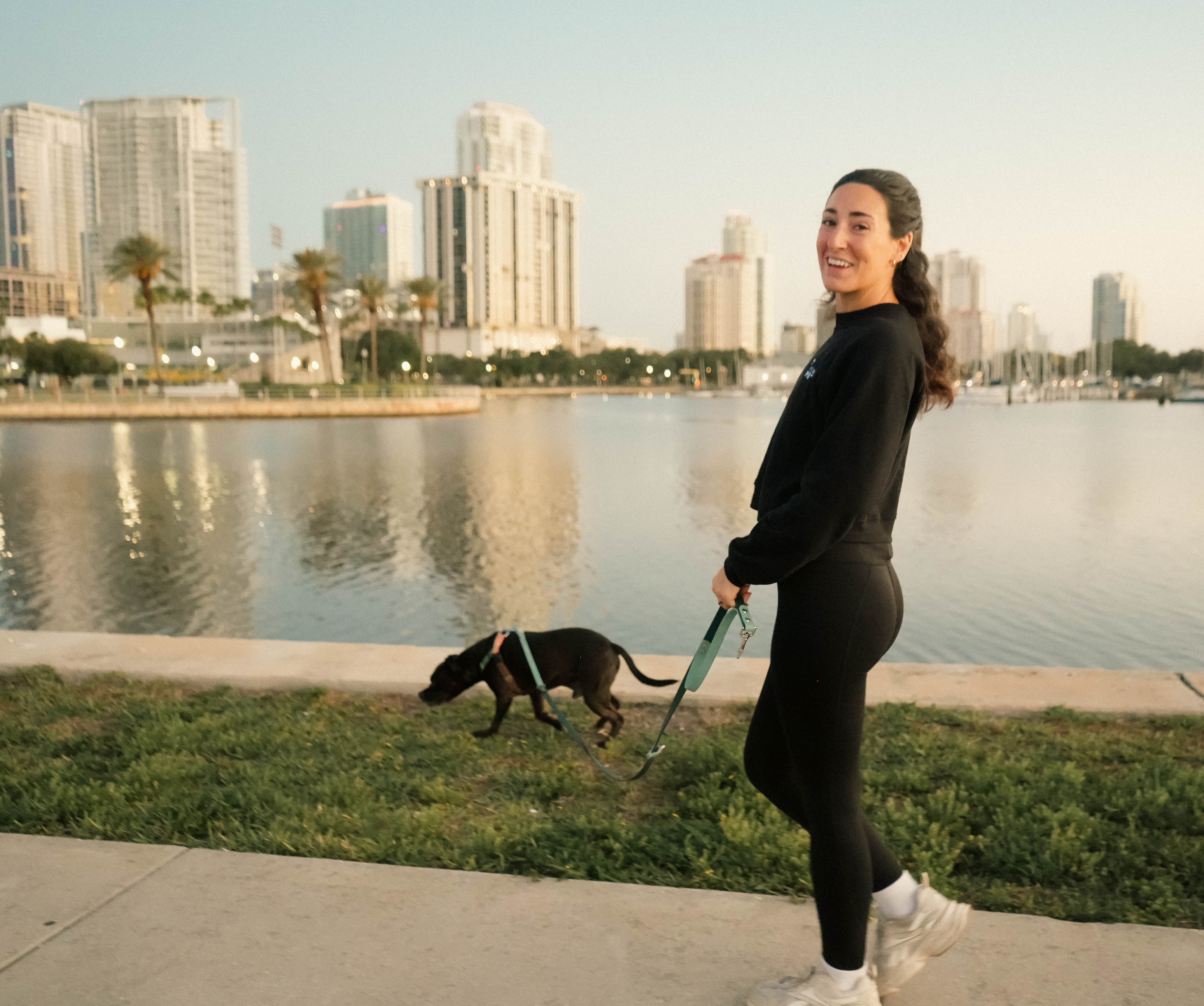 Professional walk and train session in St. Petersburg with focus on leash skills