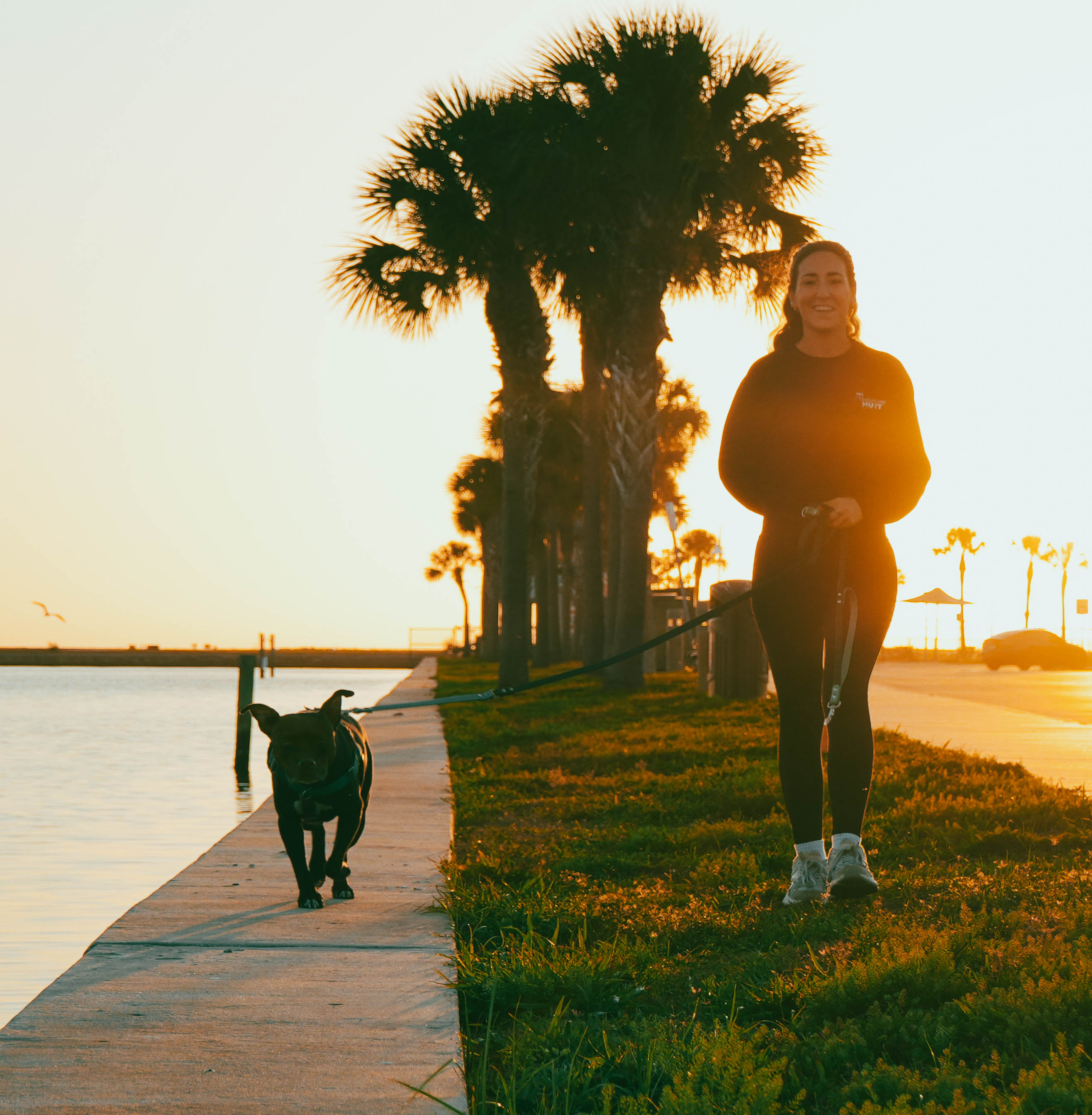 Dog trainer walking a dog in St. Pete neighborhood during training session