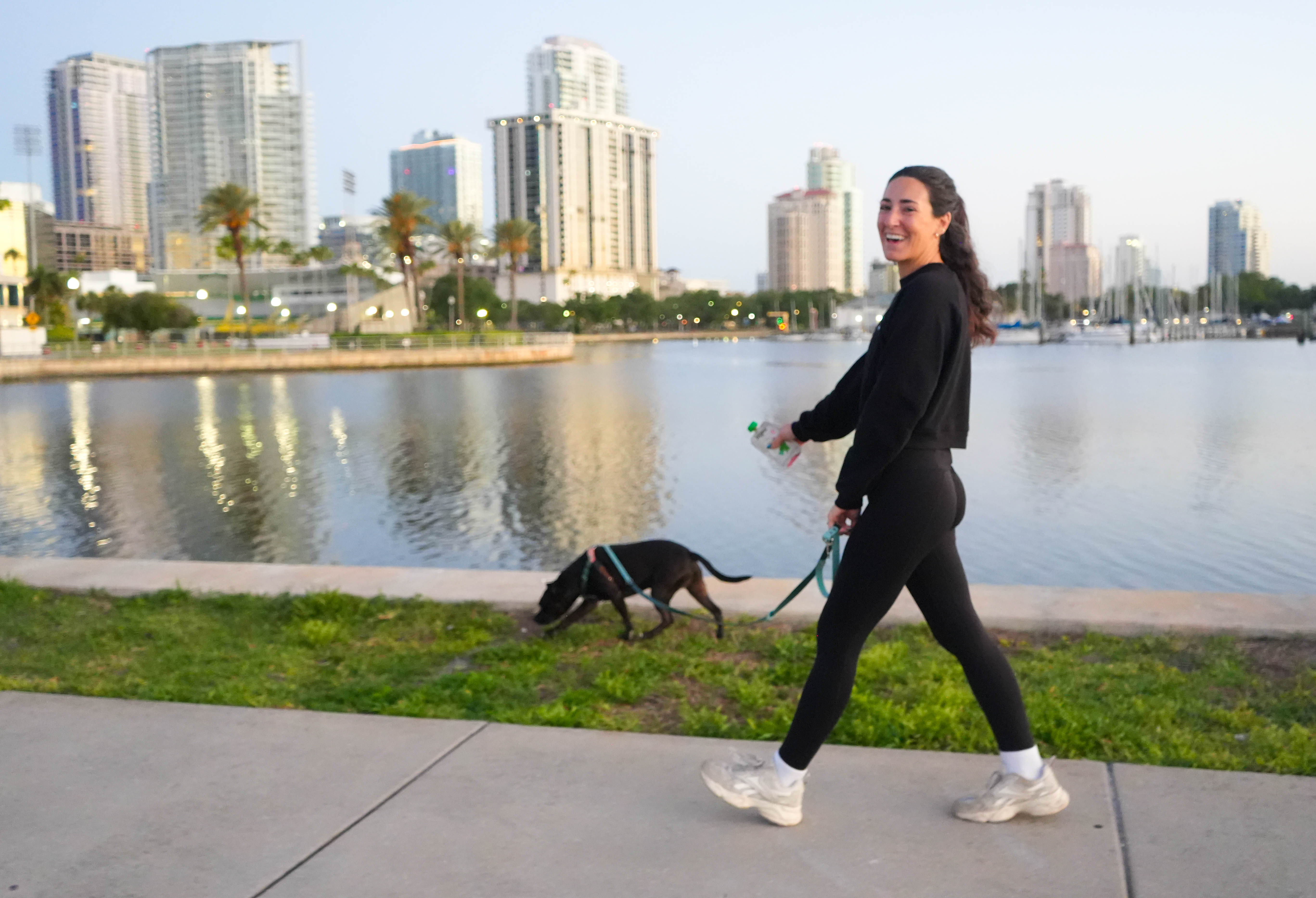 Dog sniffing and exploring on a relaxed decompression walk
