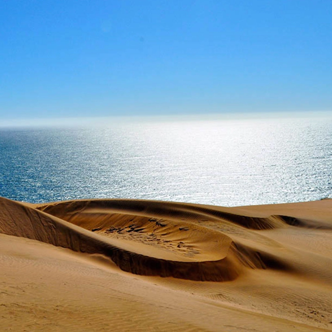 Bright sunlit sand dunes overlooking a calm, sparkling ocean under a clear blue sky.