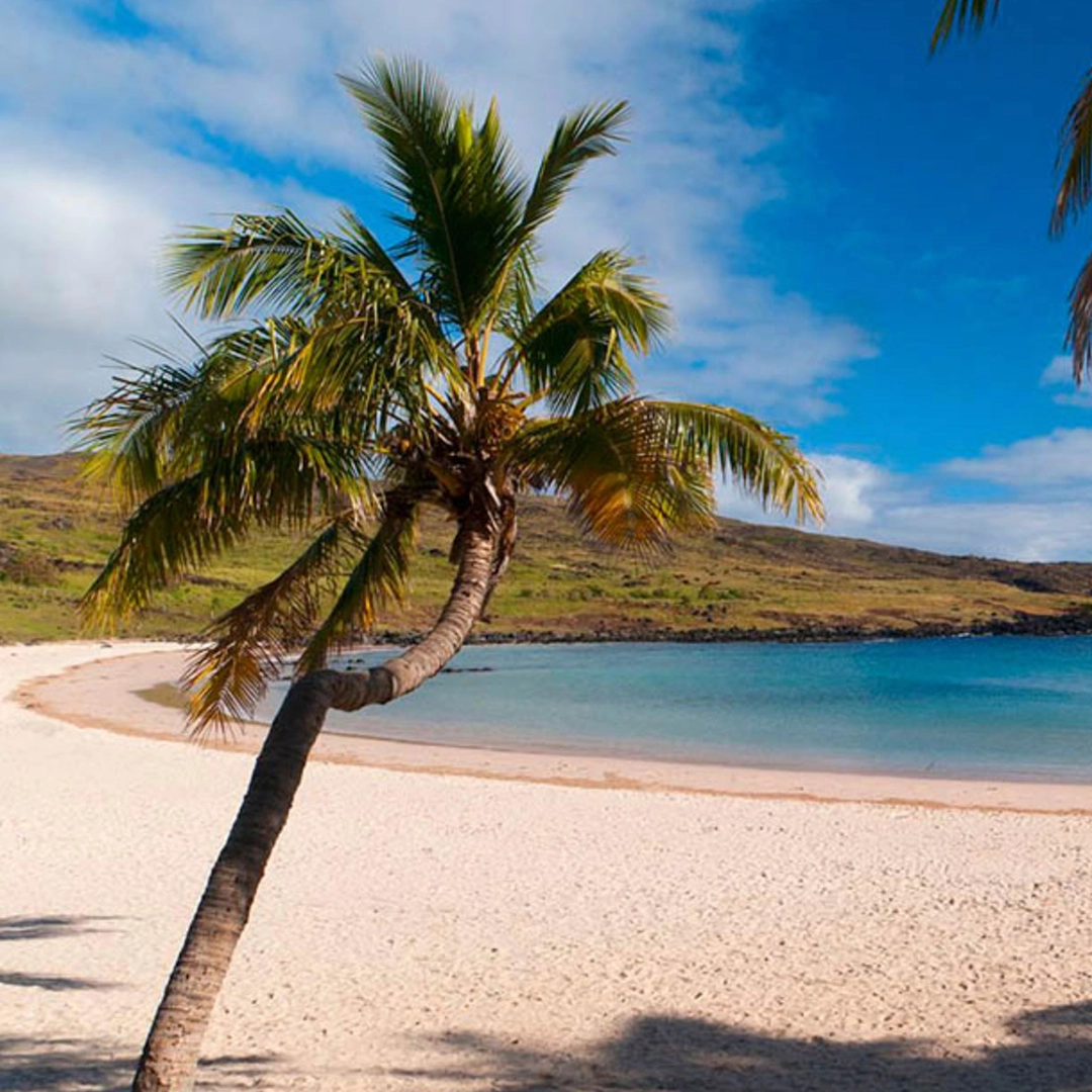 Leaning palm tree on a white sandy beach with calm blue water and green hills in the background under a partly cloudy sky.