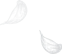 Ilustração em preto e branco de dois dentes de alho em fundo verde escuro.