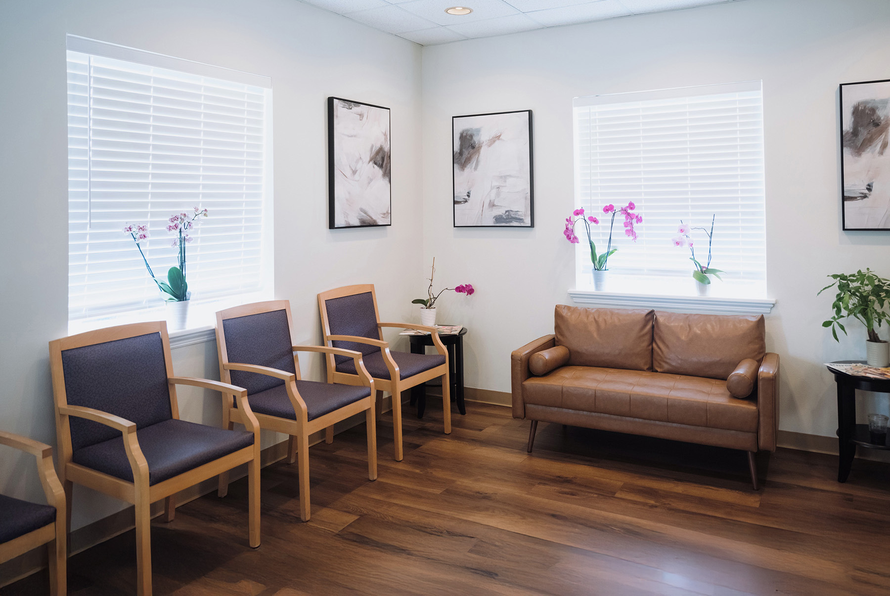 Waiting room with four wooden chairs with dark cushions, a brown leather sofa, orchid plants on windowsills, and abstract wall art.