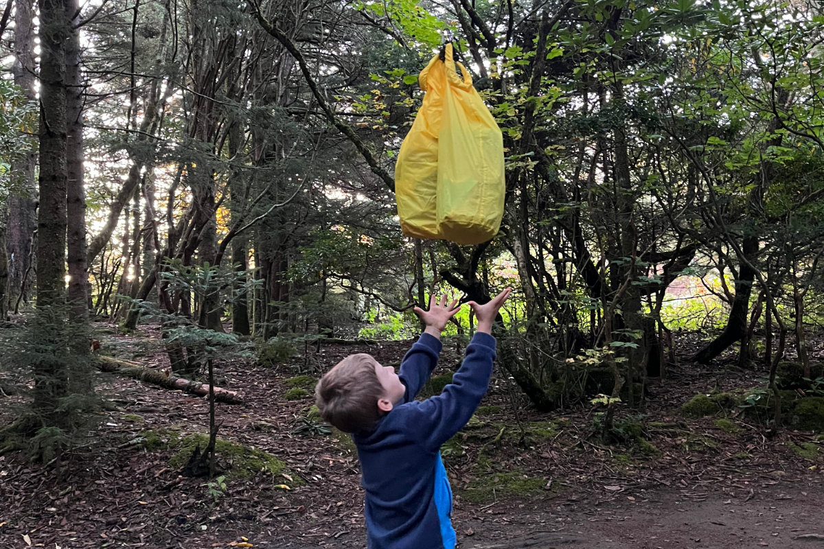 A kid helping hang a bear bag up in a tree