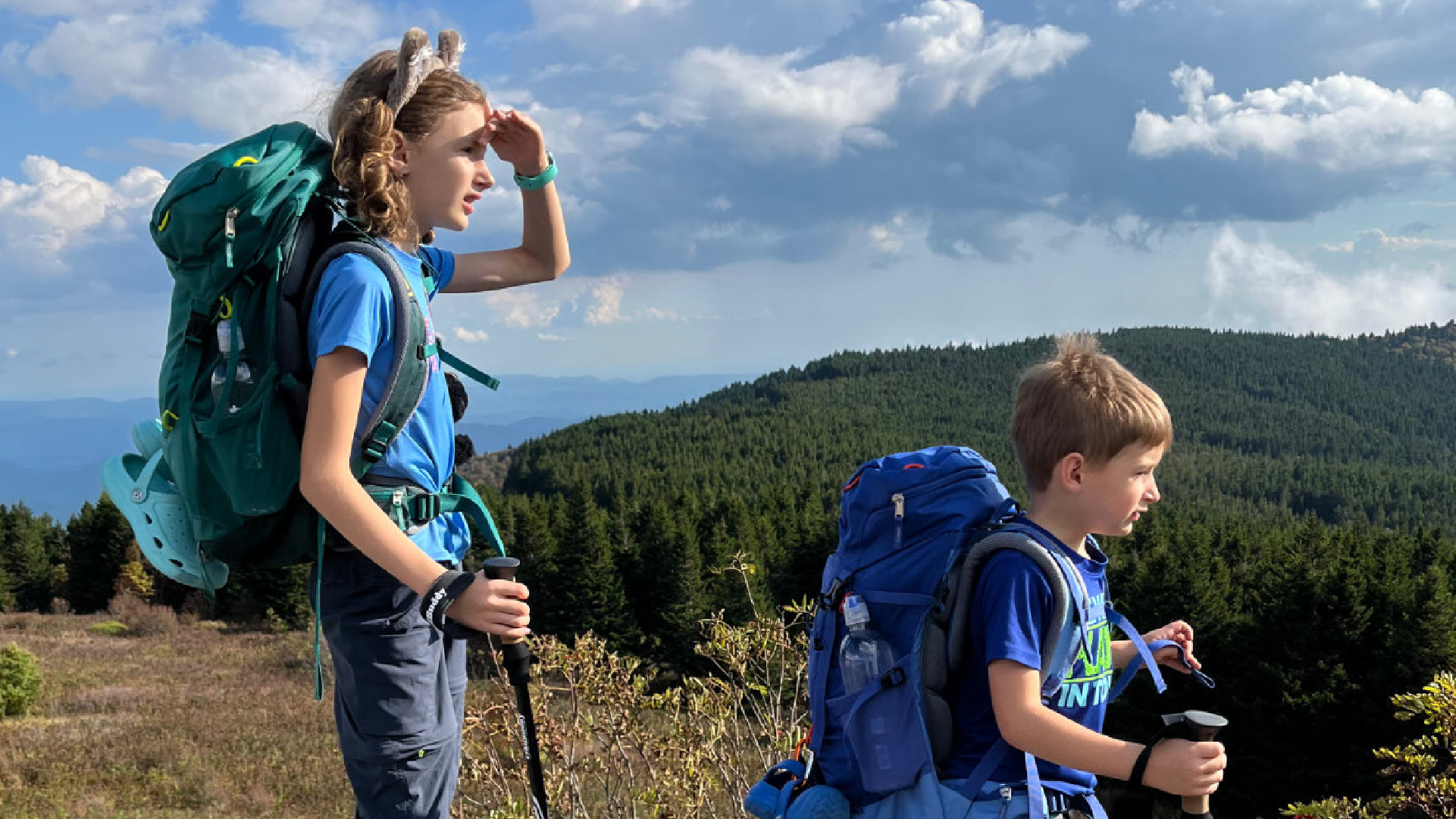 Kids wearing backpacks look at trees