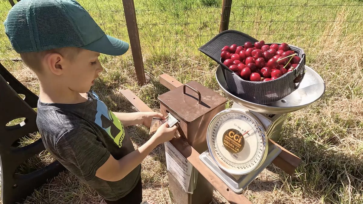 Paying for fruit from the Capitol Reef Orchard 