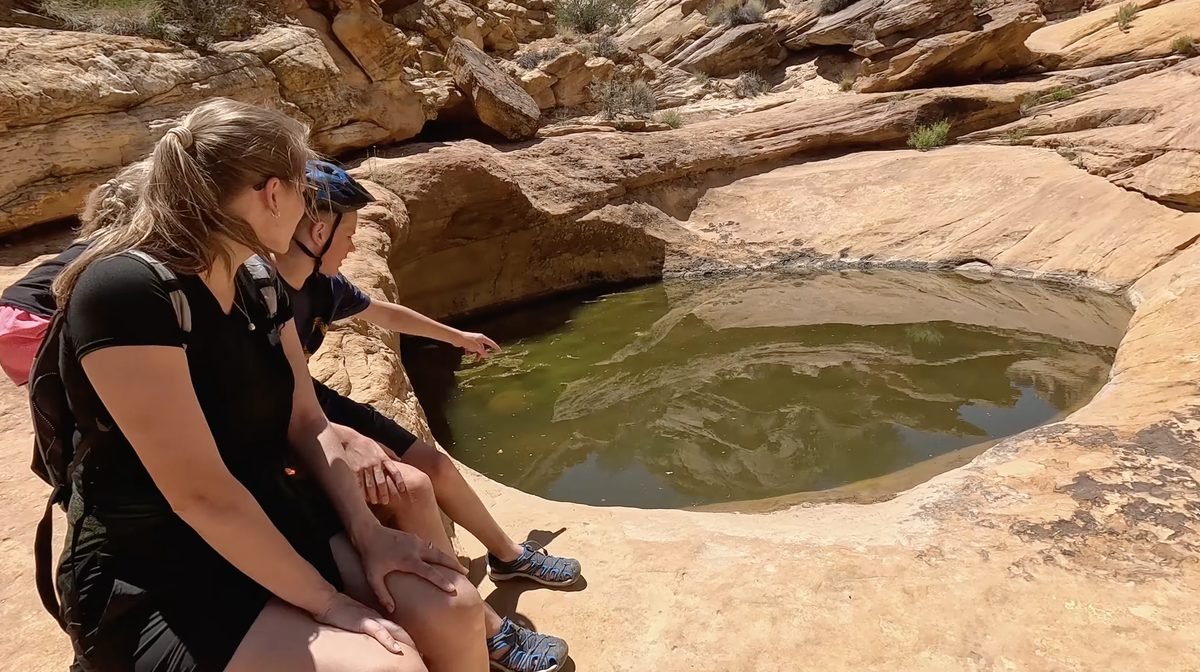 Viewing the Tanks along Capitol Gorge Trail