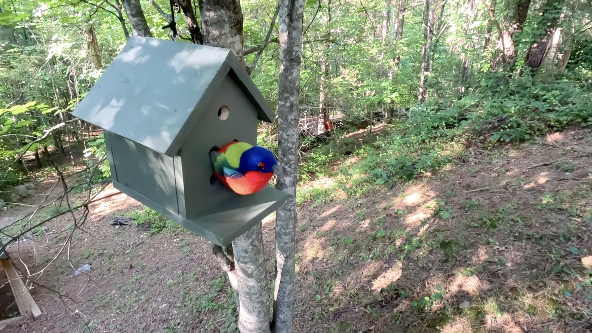 Complete bird house hanging