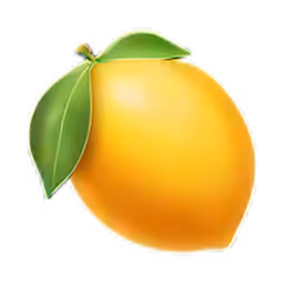 User on the Lemon Slice Discord