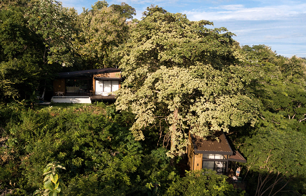 A modern wooden house partially hidden among dense green trees under a blue sky.
