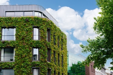 Sustainable green building