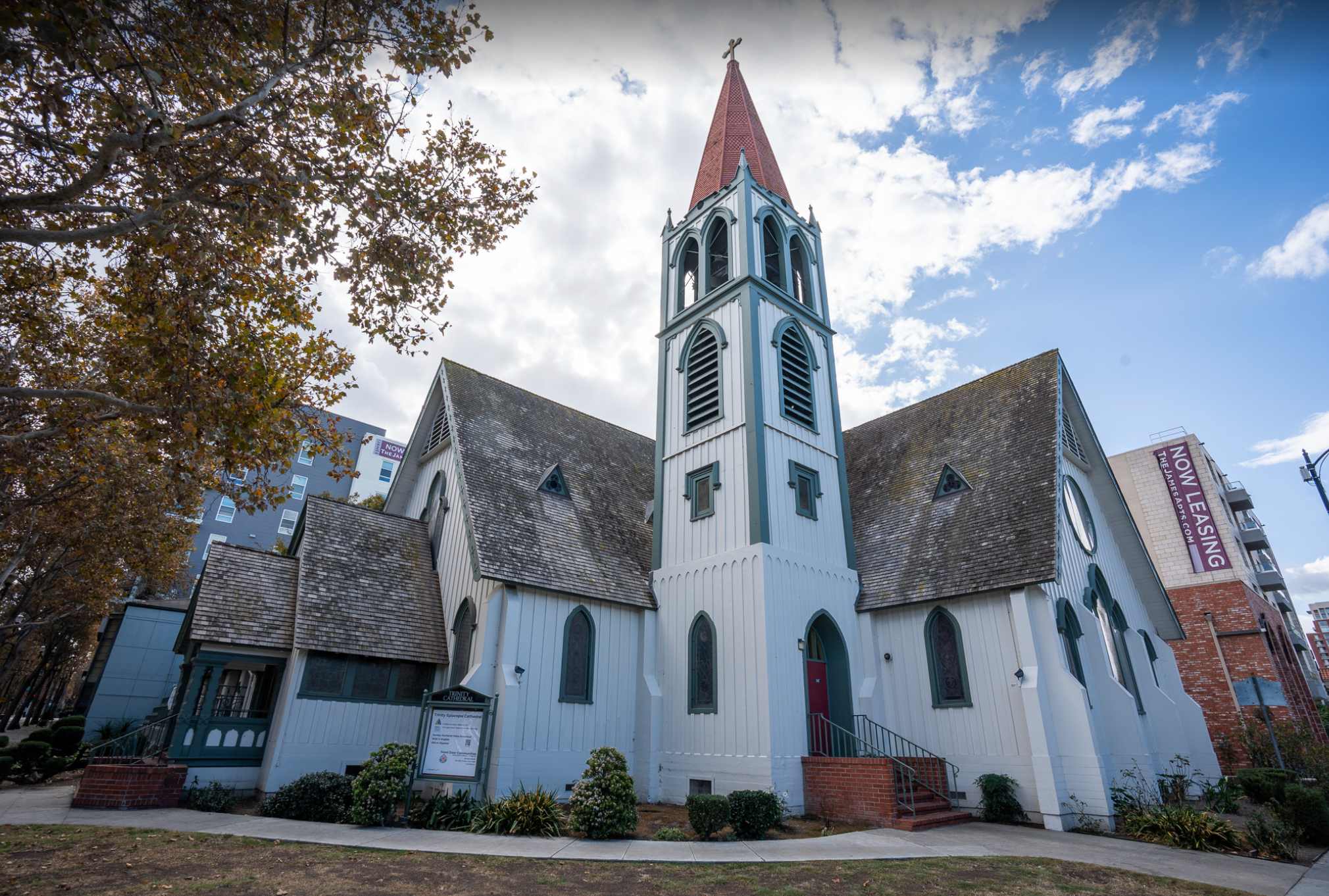 image of volunteerism in nature