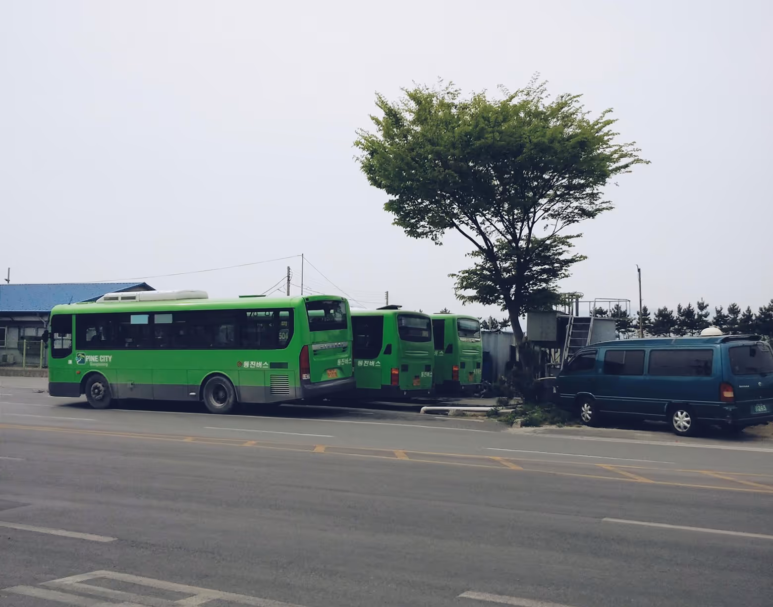 Transportation & Environment