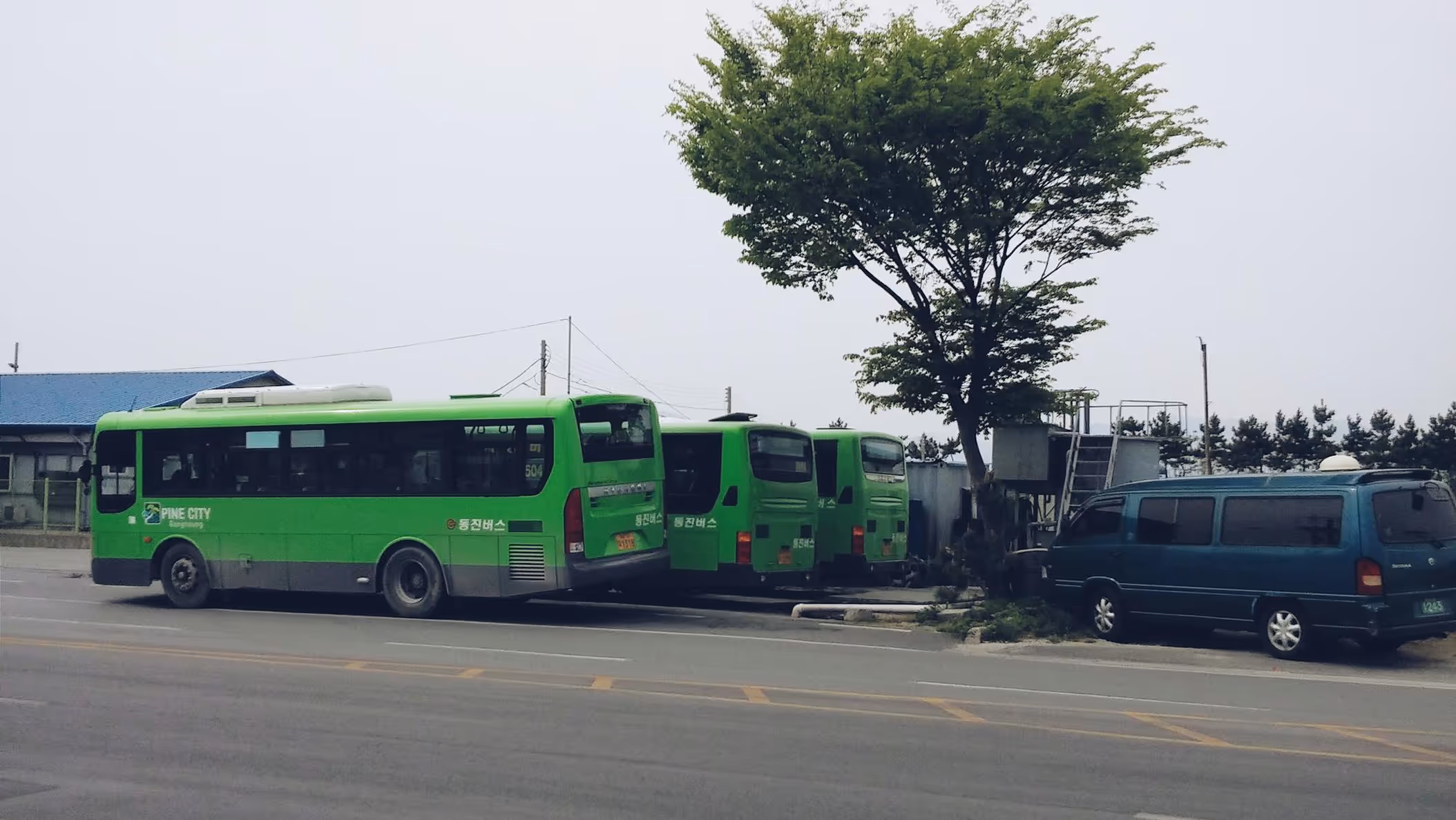 Public Transport & Schedules