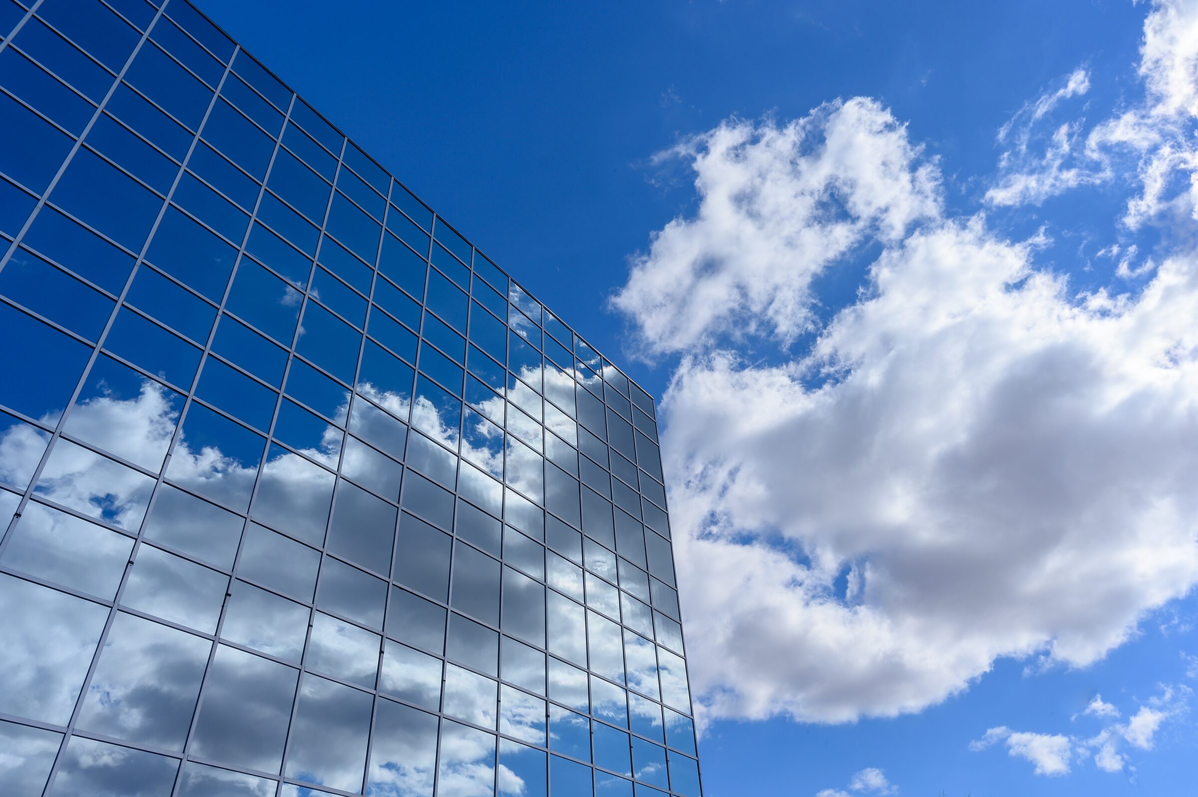 Inadequate influence on business decisions