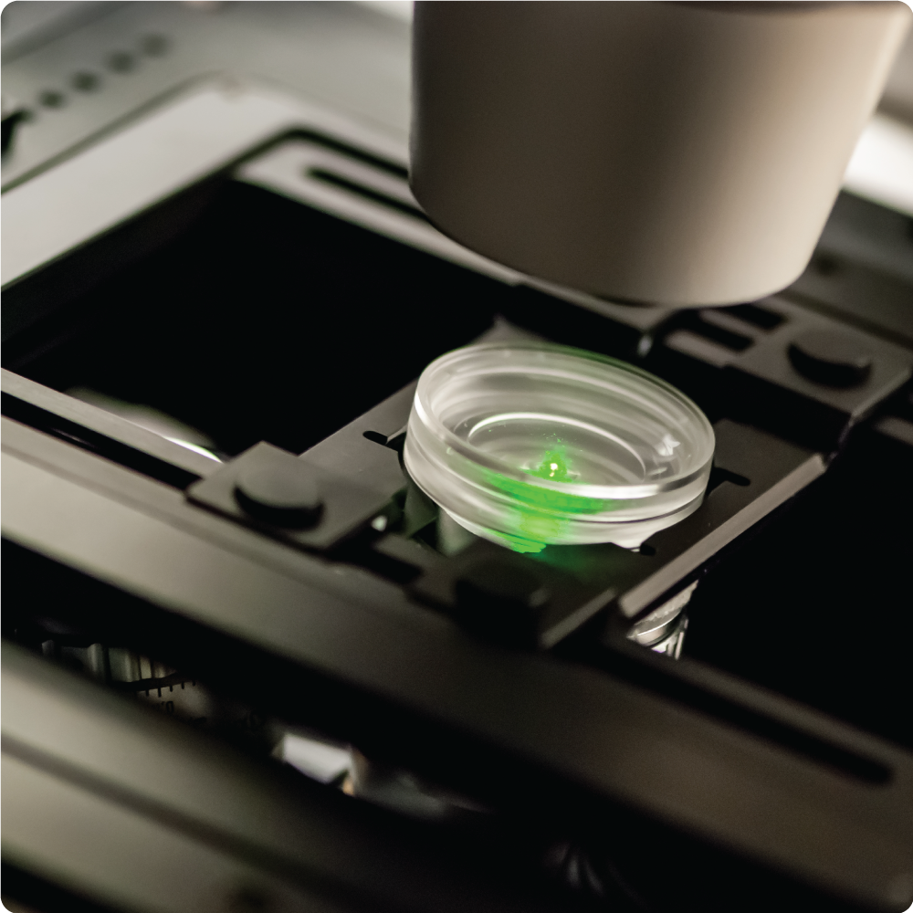 Image of a collection of various objects arranged together, showcasing diversity in shapes, colors, and sizes.