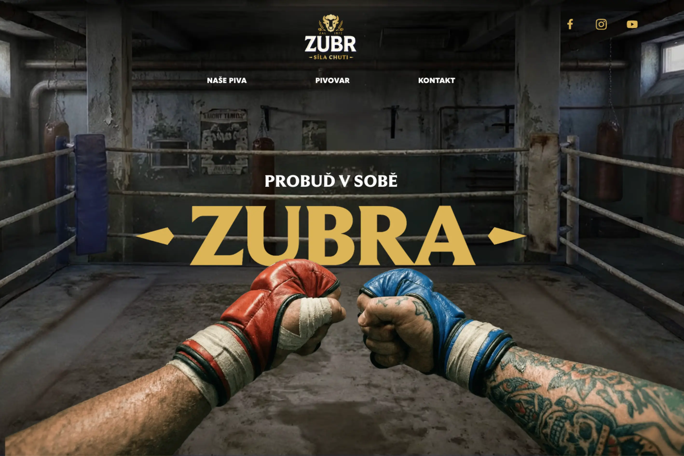 Ukázka webové stránky www.zubr.cz vytvořené ve Webflow