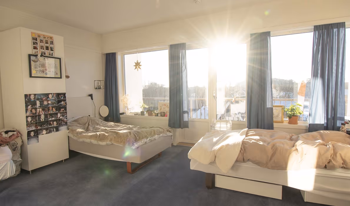 Solsendt rom med to senger, blå tepper og blå gardiner foran store vinduer med planter på vinduskarmen.