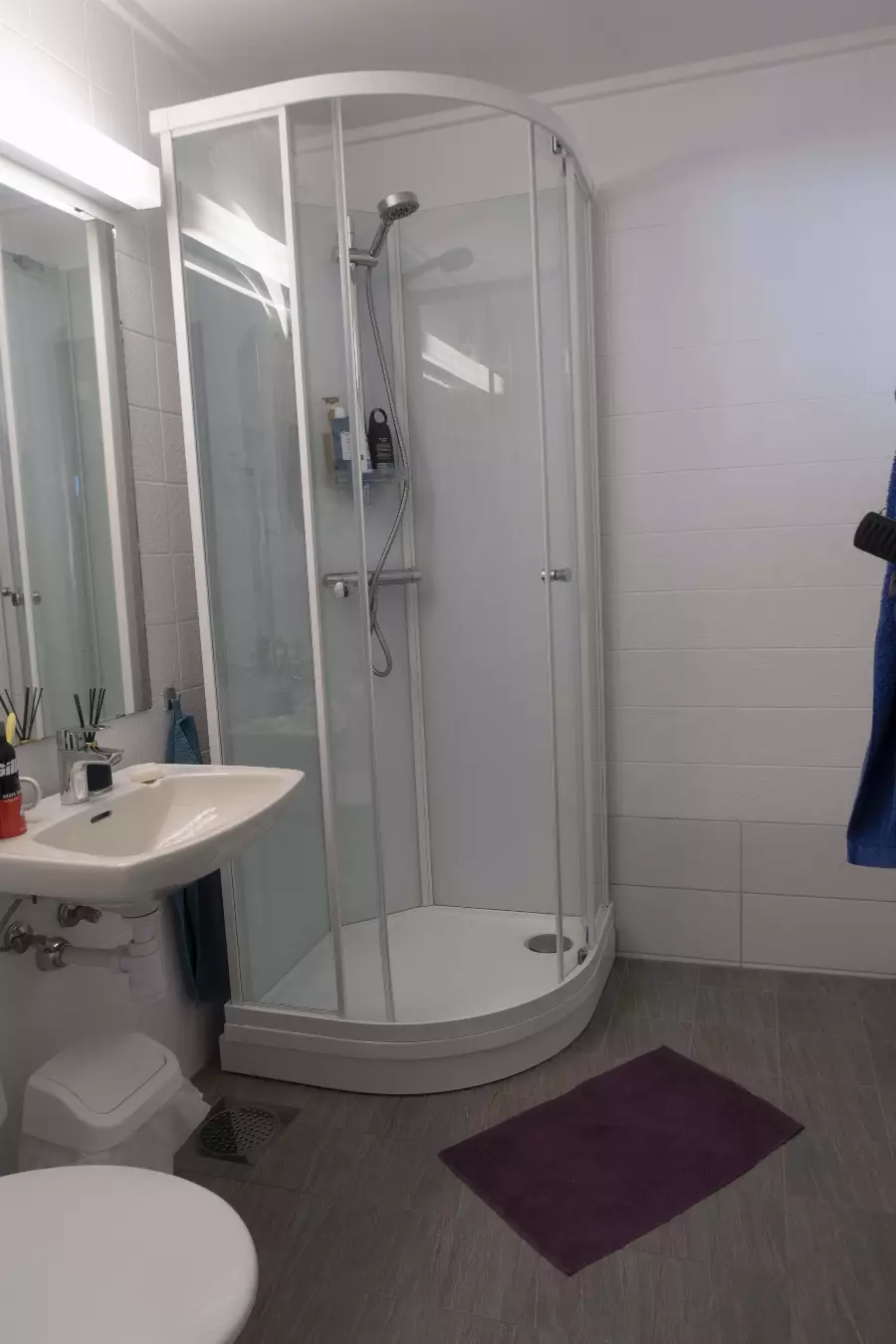 Lite baderom med buet dusjkabinett, vask med speil og toalett, samt lilla matte på gulvet.