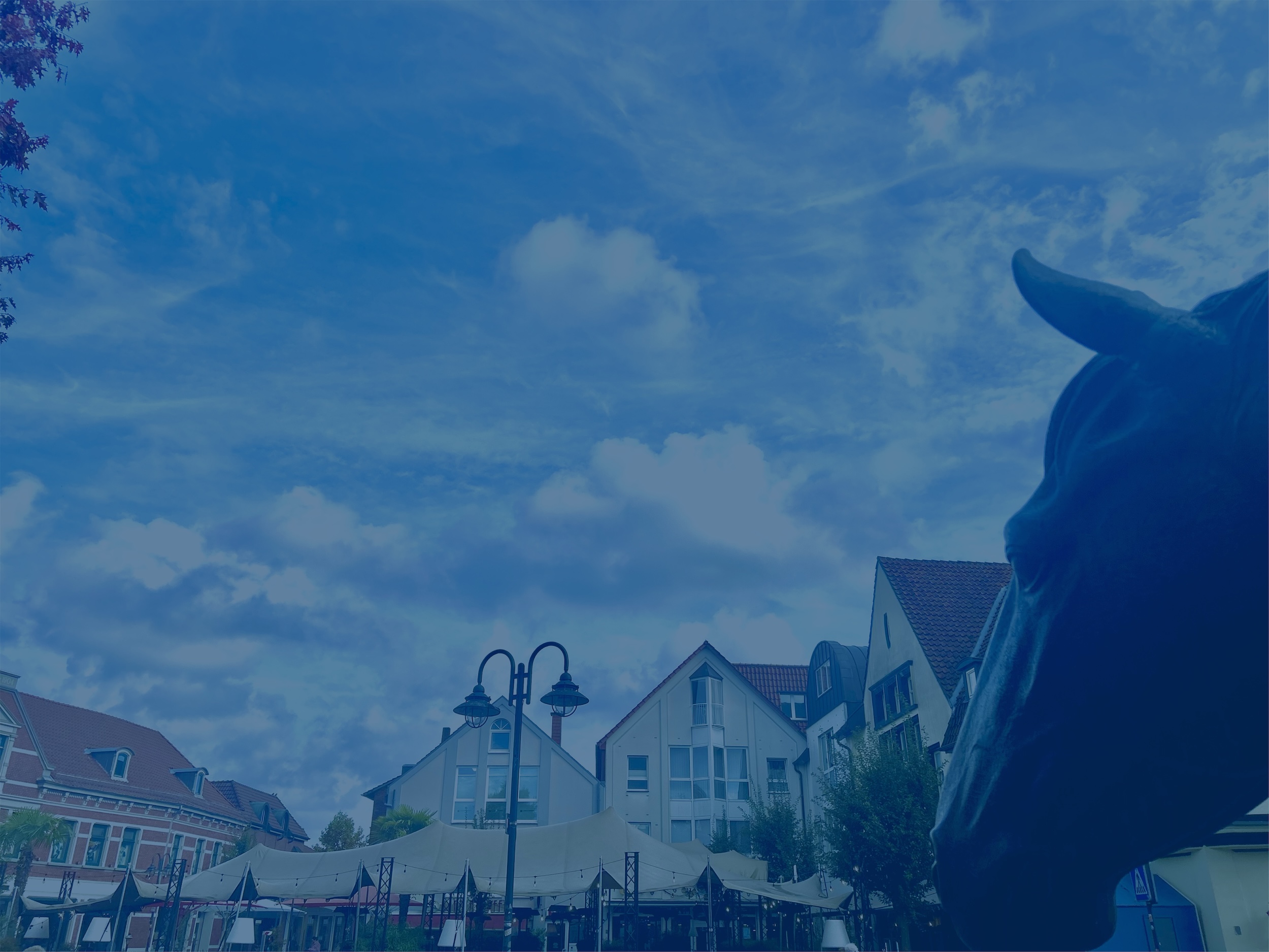 Background Banner