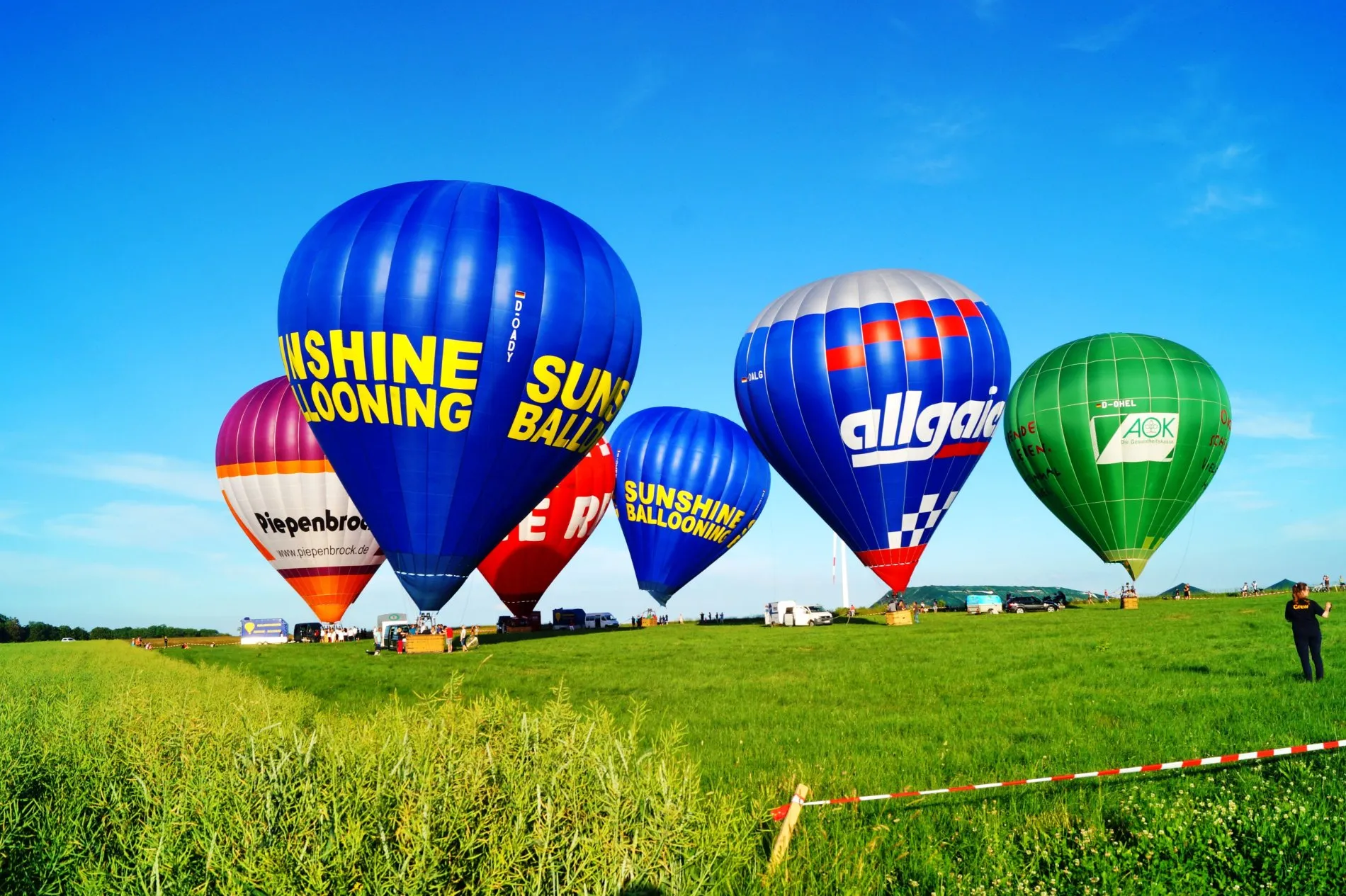 Mehrere bunte Heißluftballons auf einer grünen Wiese unter klarem blauem Himmel.