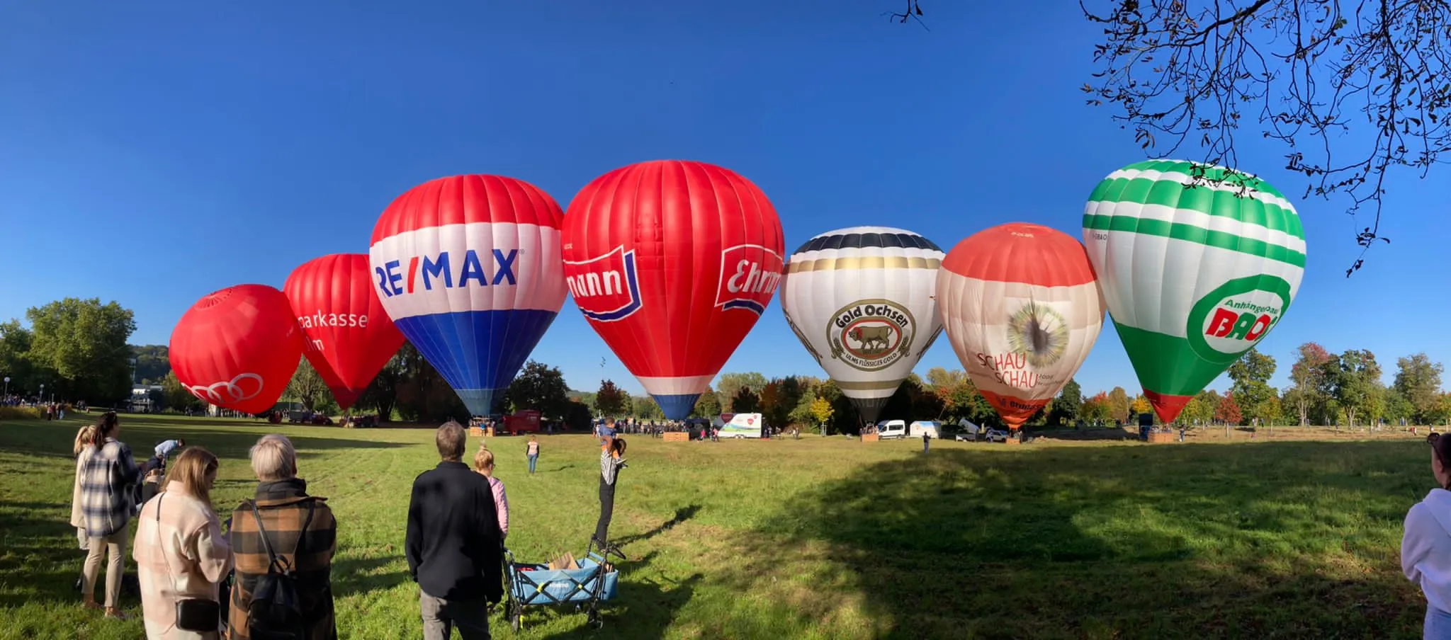 Menschen beobachten mehrere bunte Heißluftballons, die auf einer grünen Wiese unter klarem blauem Himmel starten.